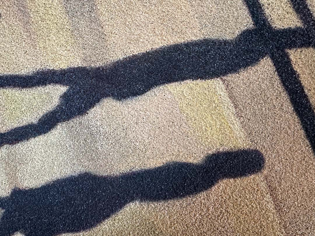 Kafka et son ombre