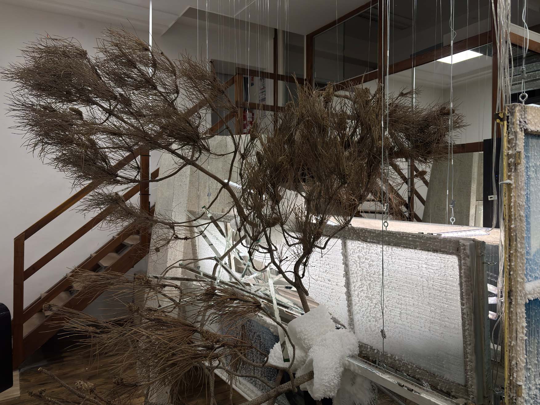 Fenêtre excroissance l