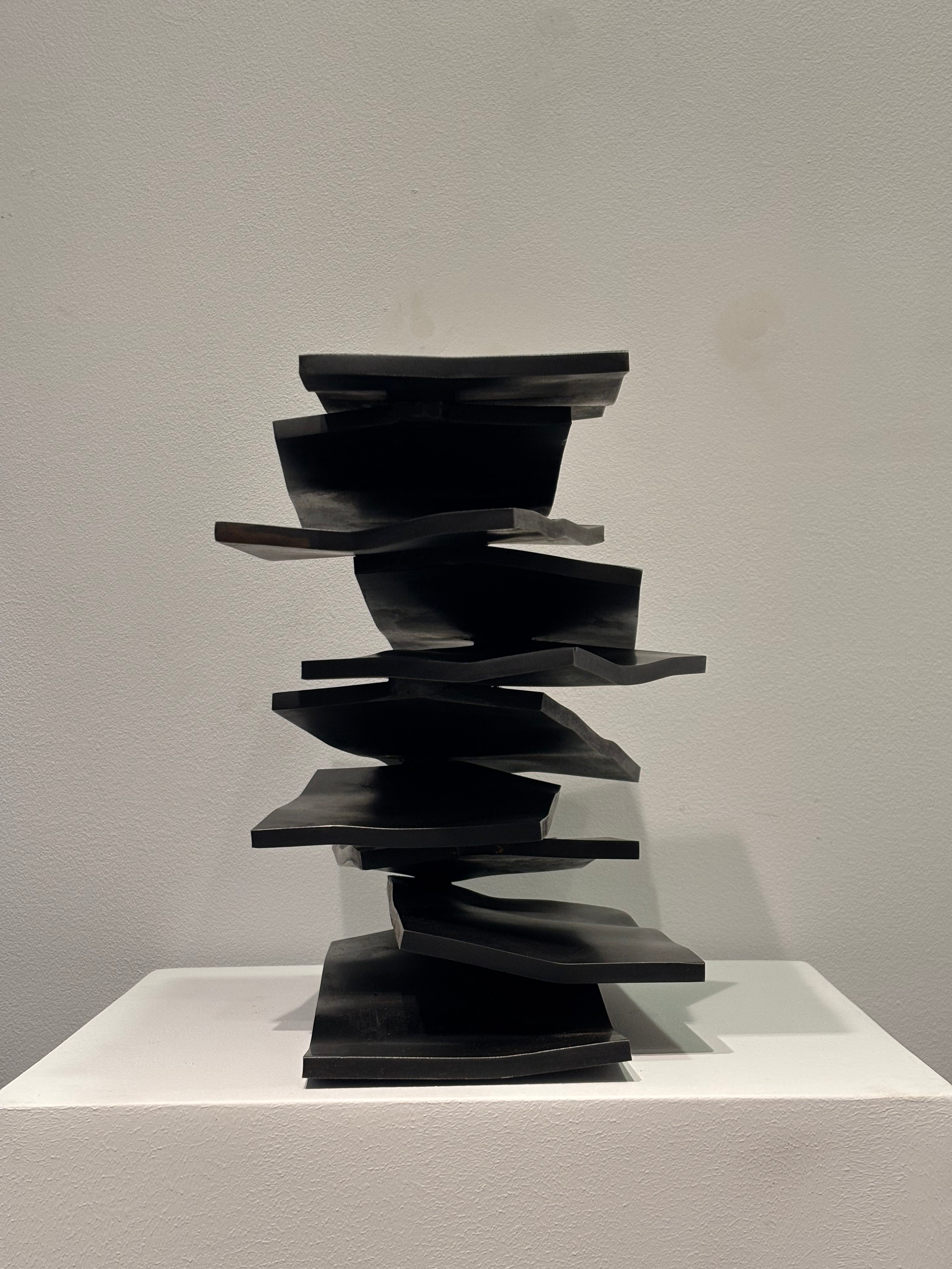 Dix lames horizontales