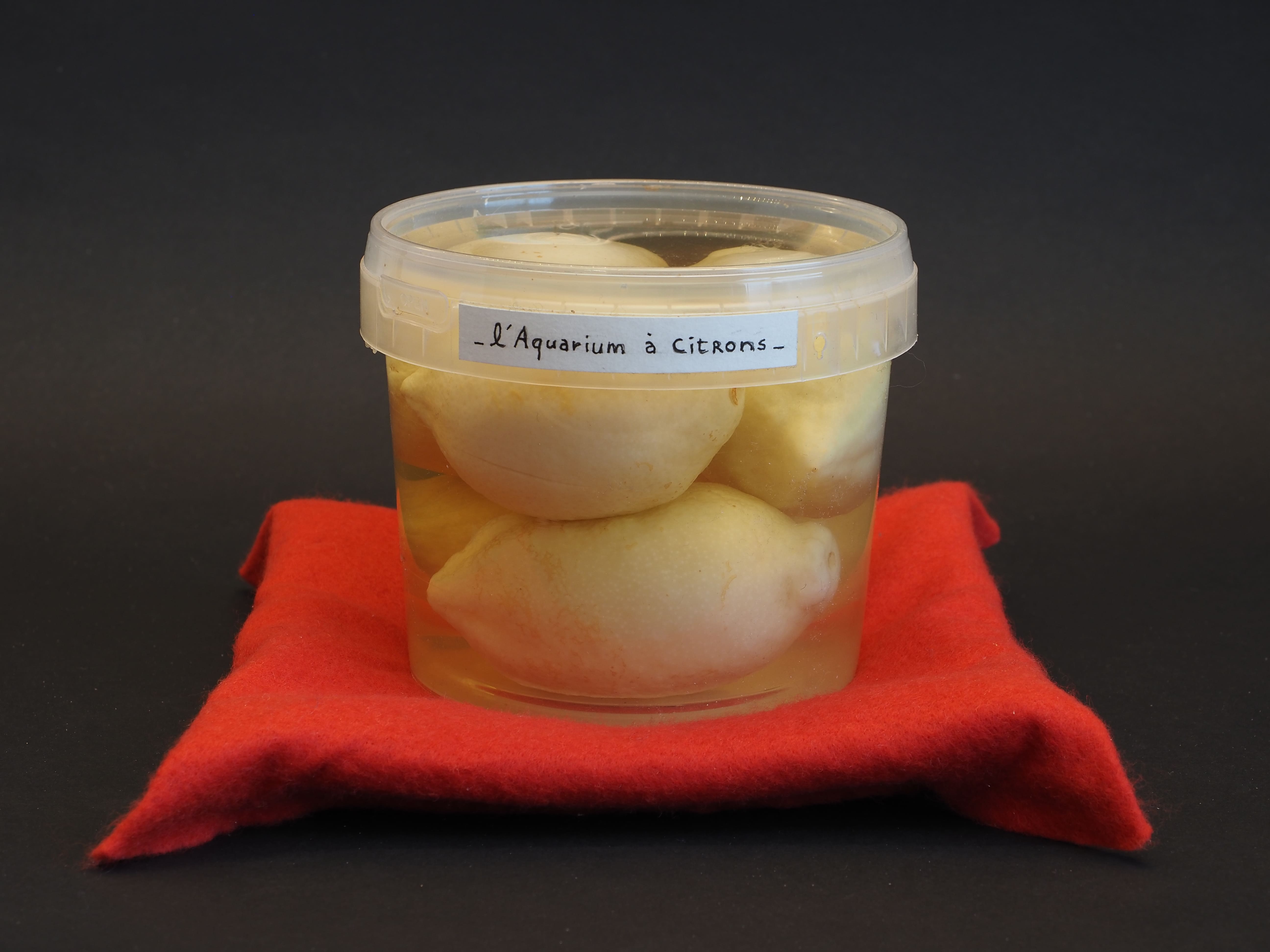 L'aquarium à citrons