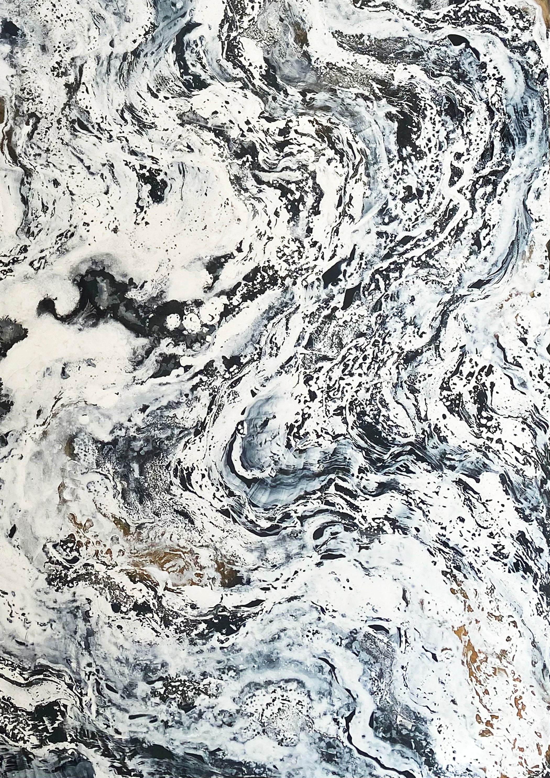 "Medullis 1.5"