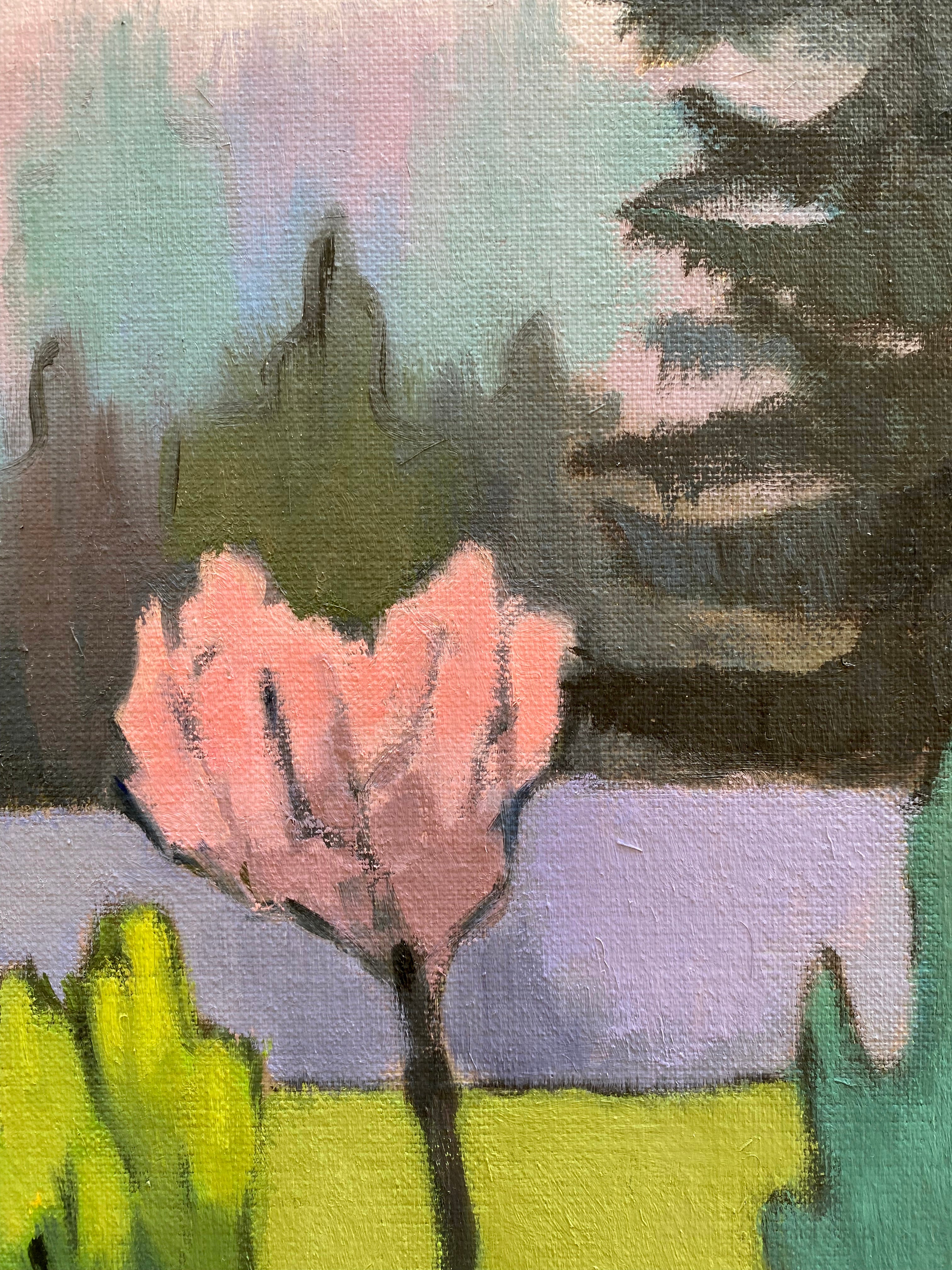 "Le jardin, vue de l'étage, Hauts-de-France"