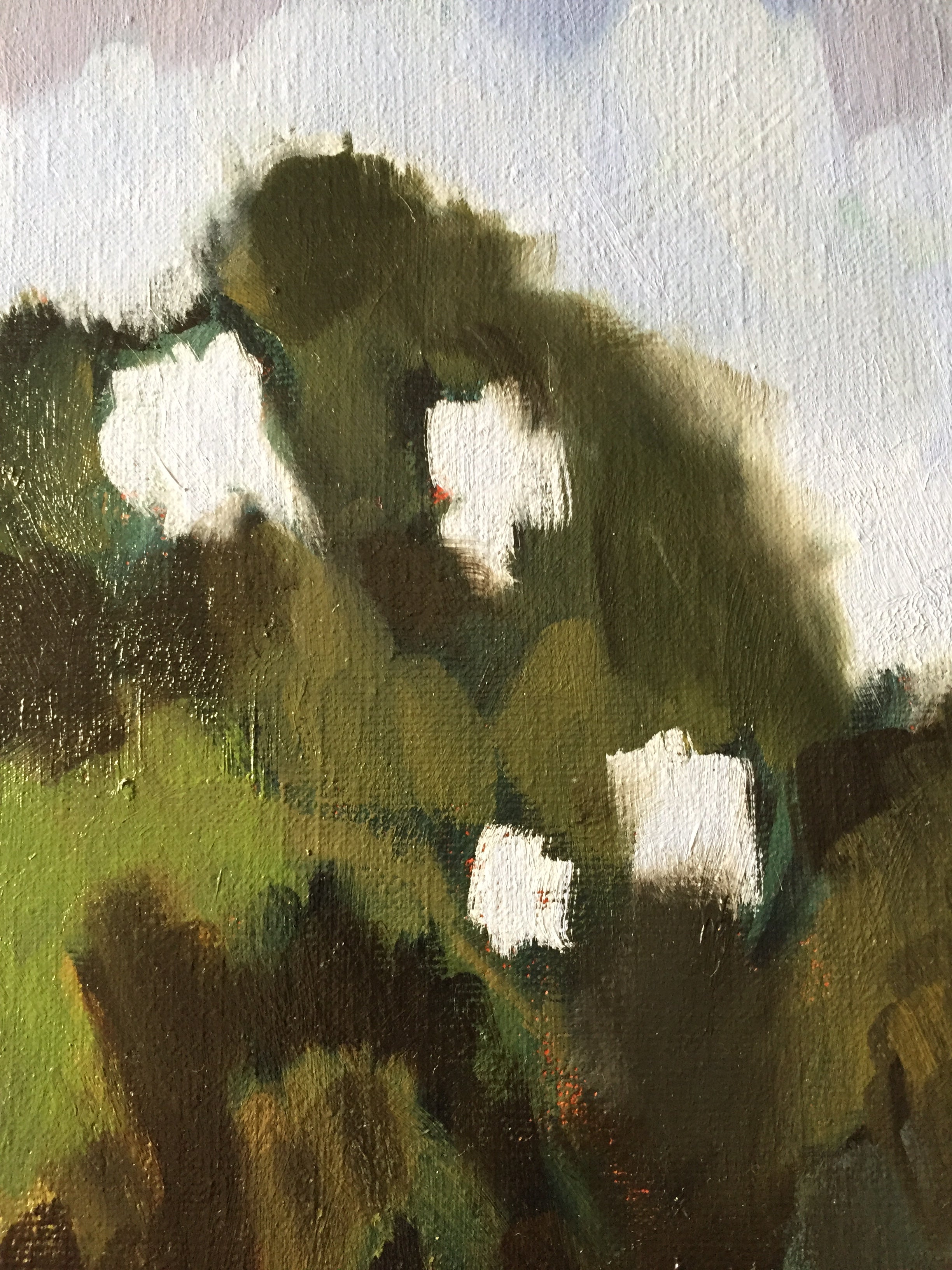 "Le lac, banlieue de Paris, Essonne"