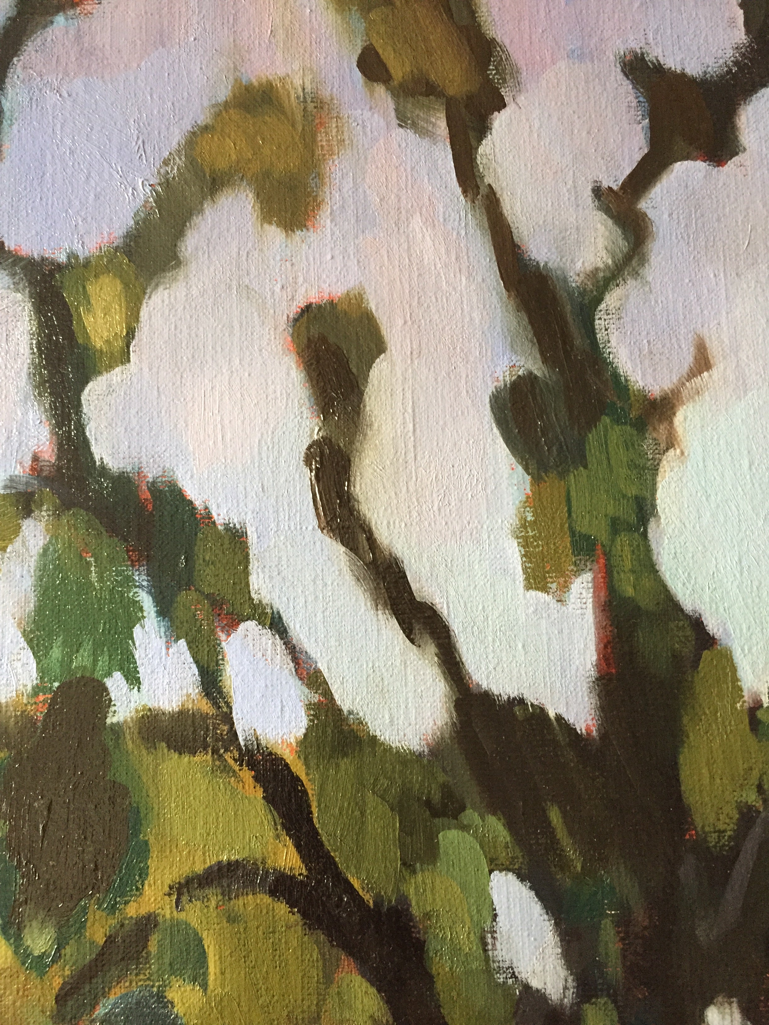 "Le lac, banlieue de Paris, Essonne"