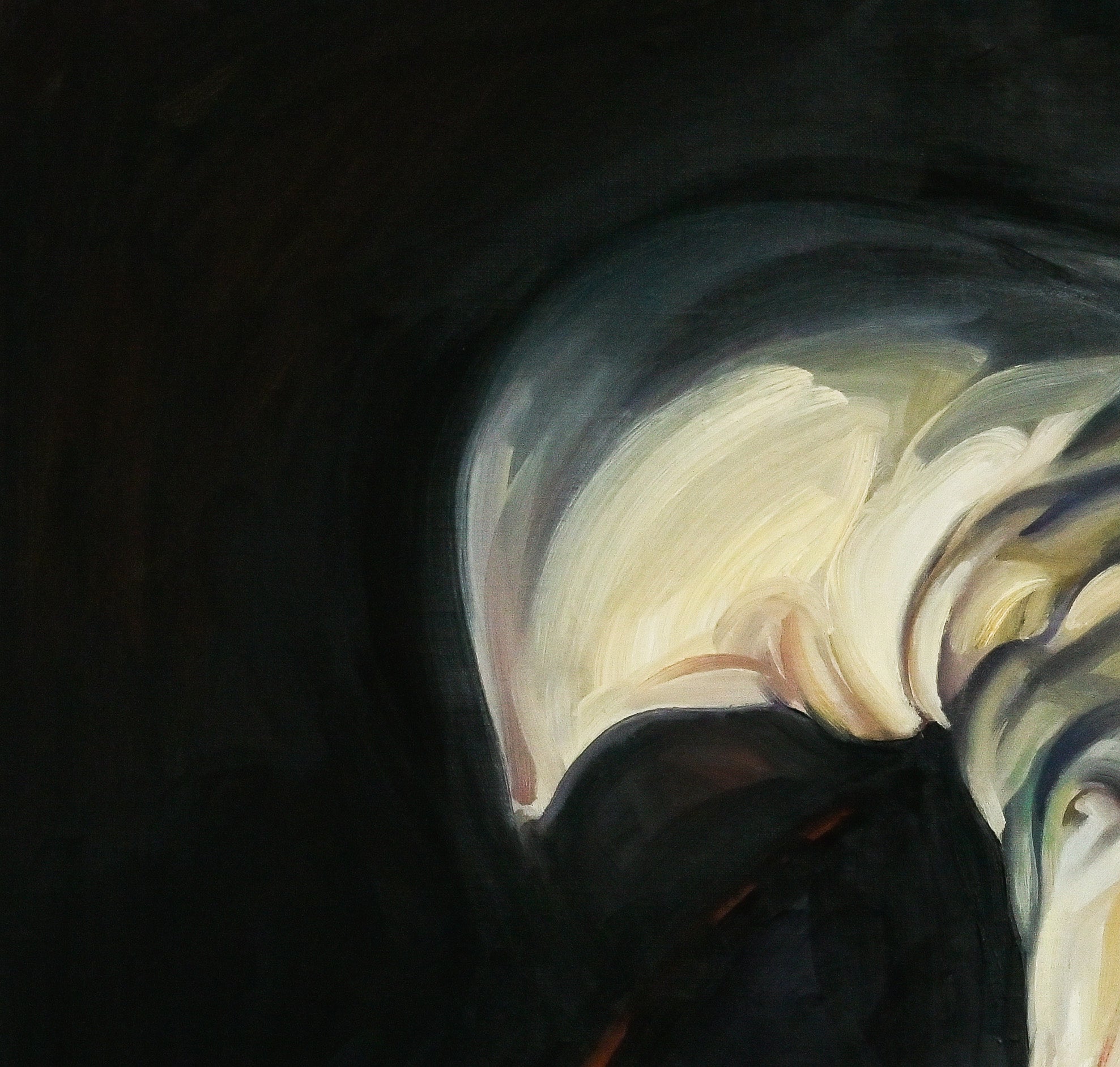 Les ténèbres ne l’ont pas saisie