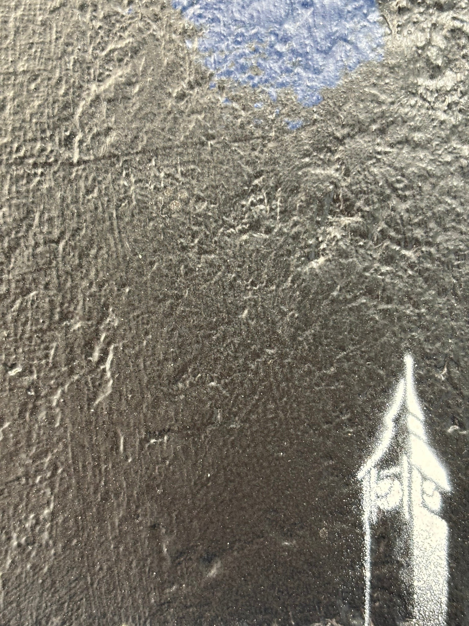 "Danseuse 2024 n°6/8"