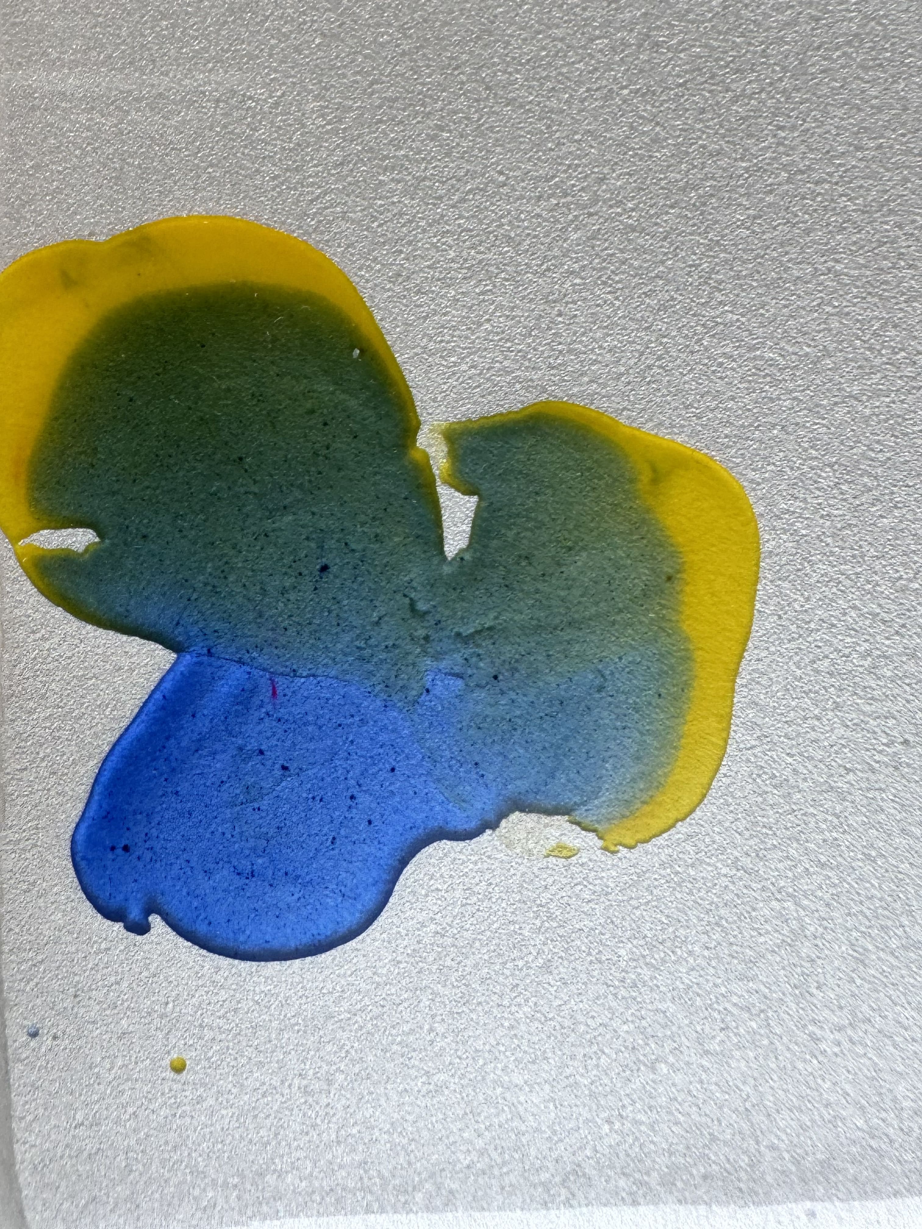 "Pensées - Diptyque"