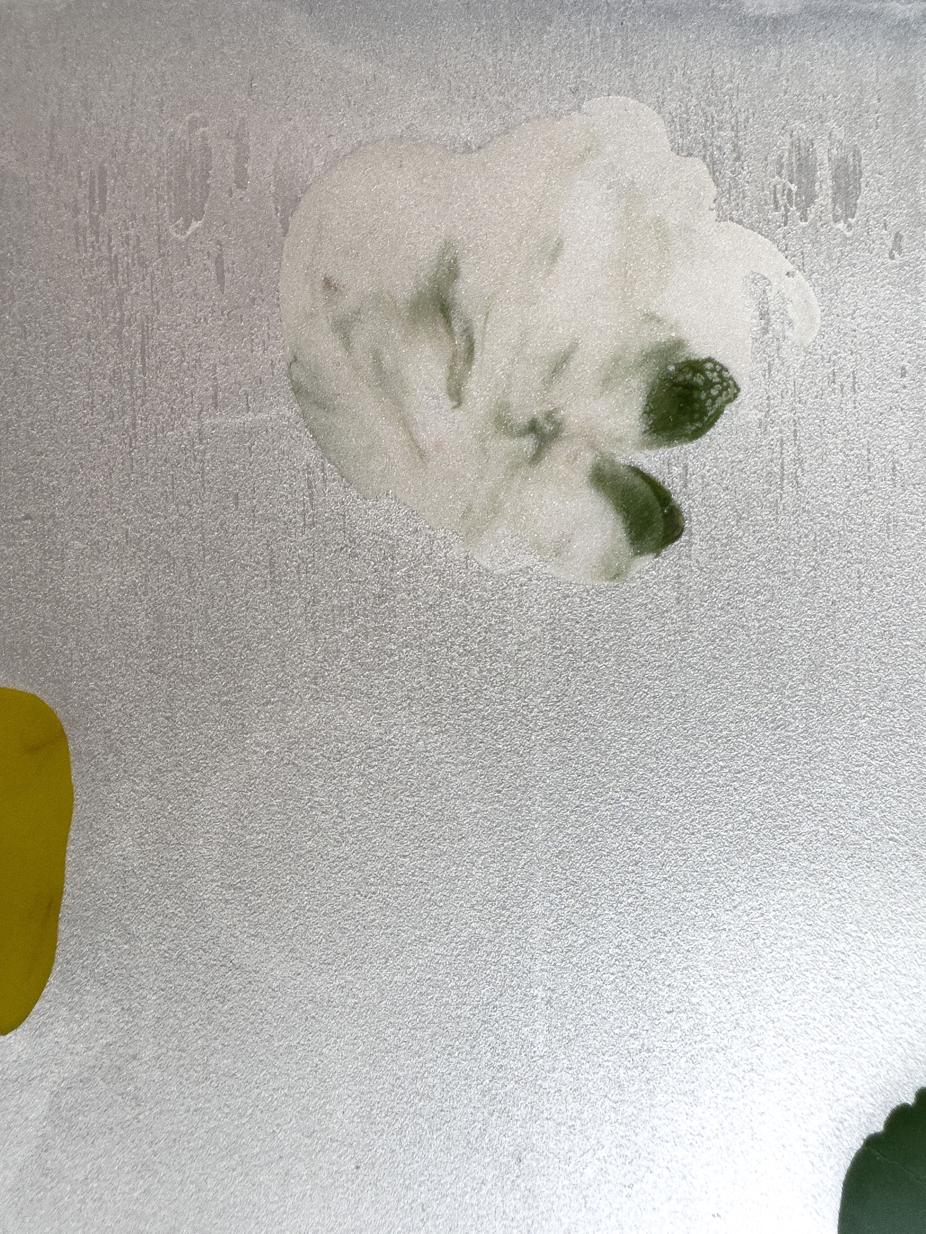 "Pensées - Diptyque"