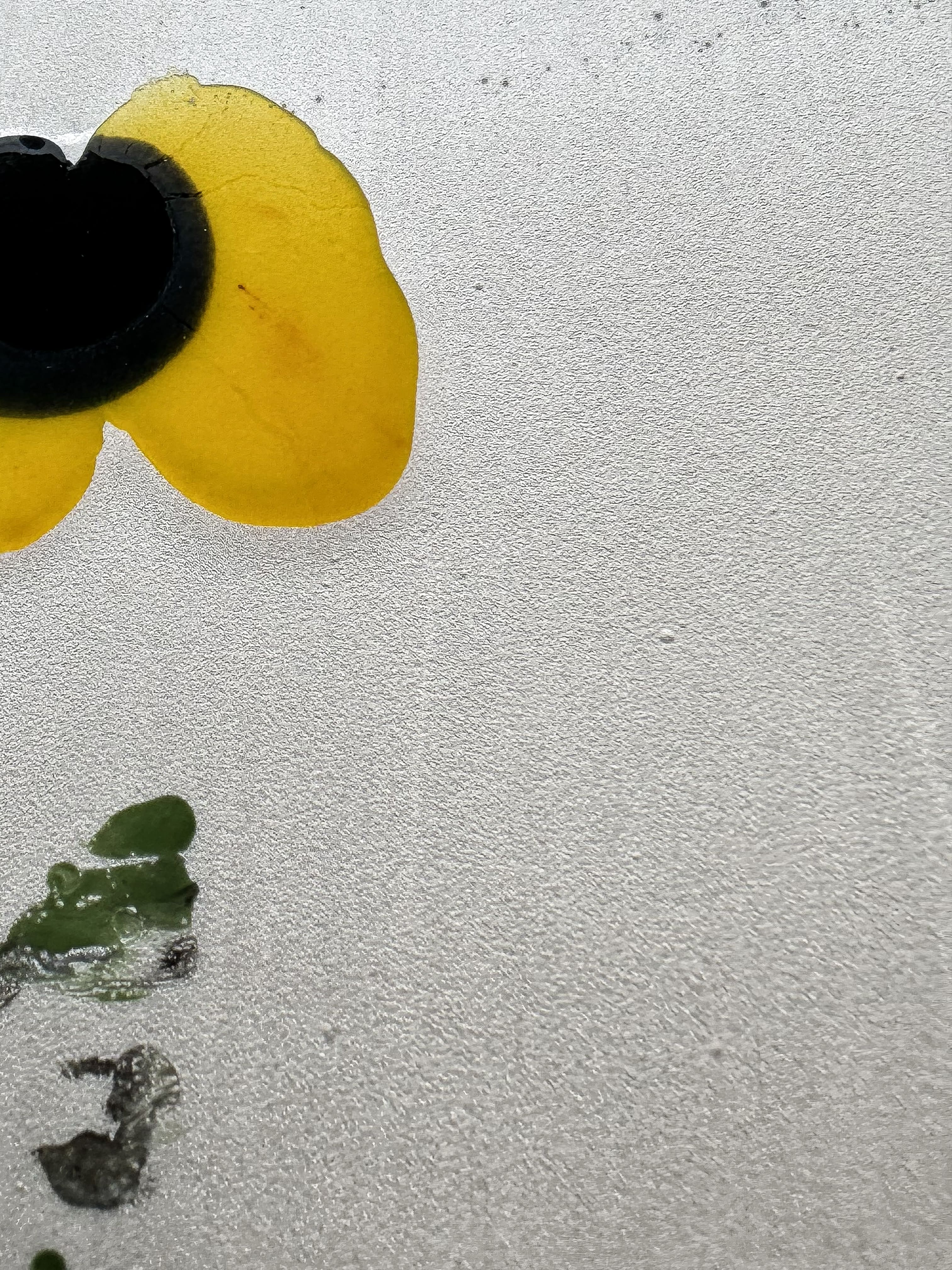 "Pensées - Diptyque"