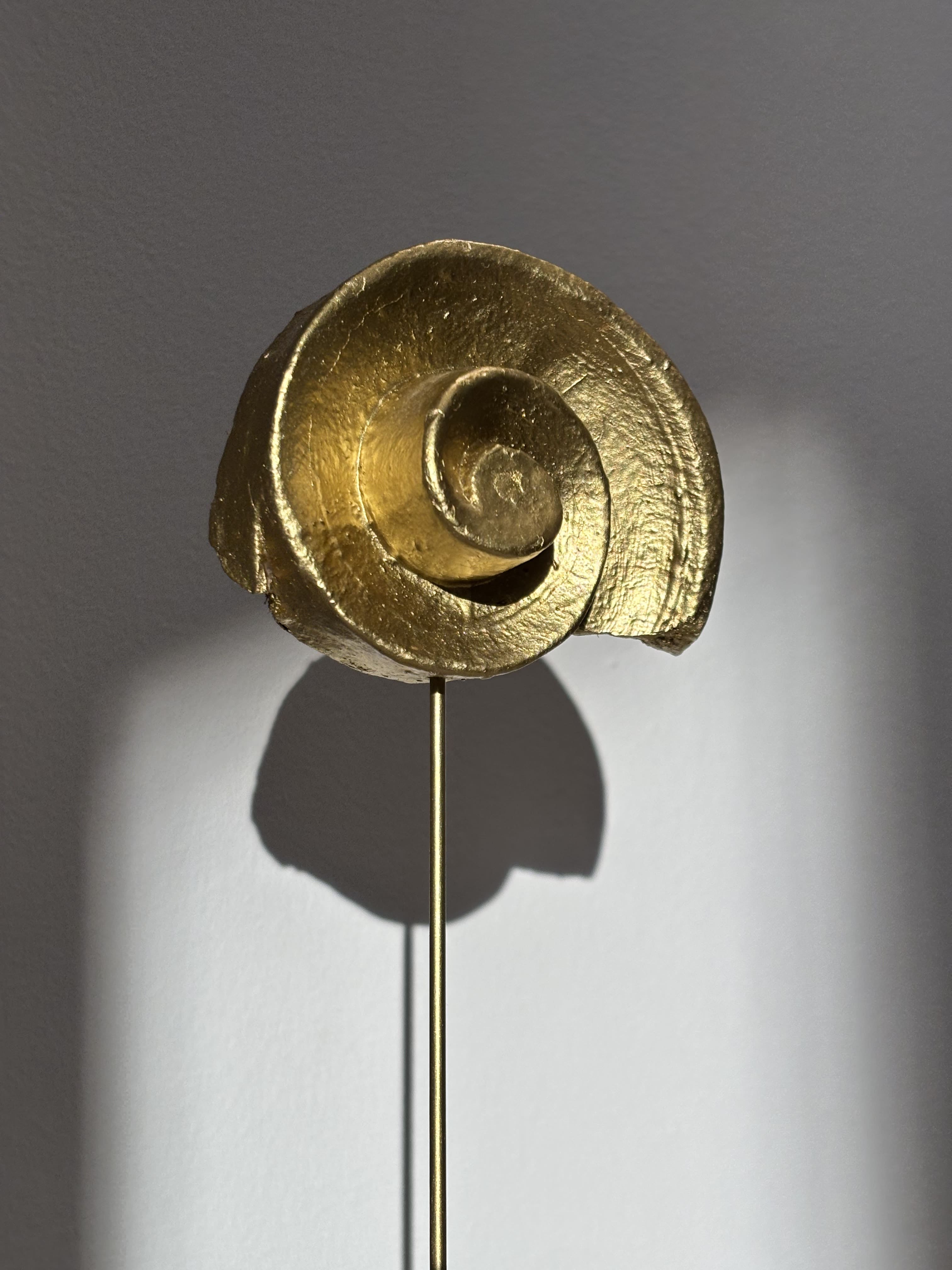 L'escargot d'or, dort
