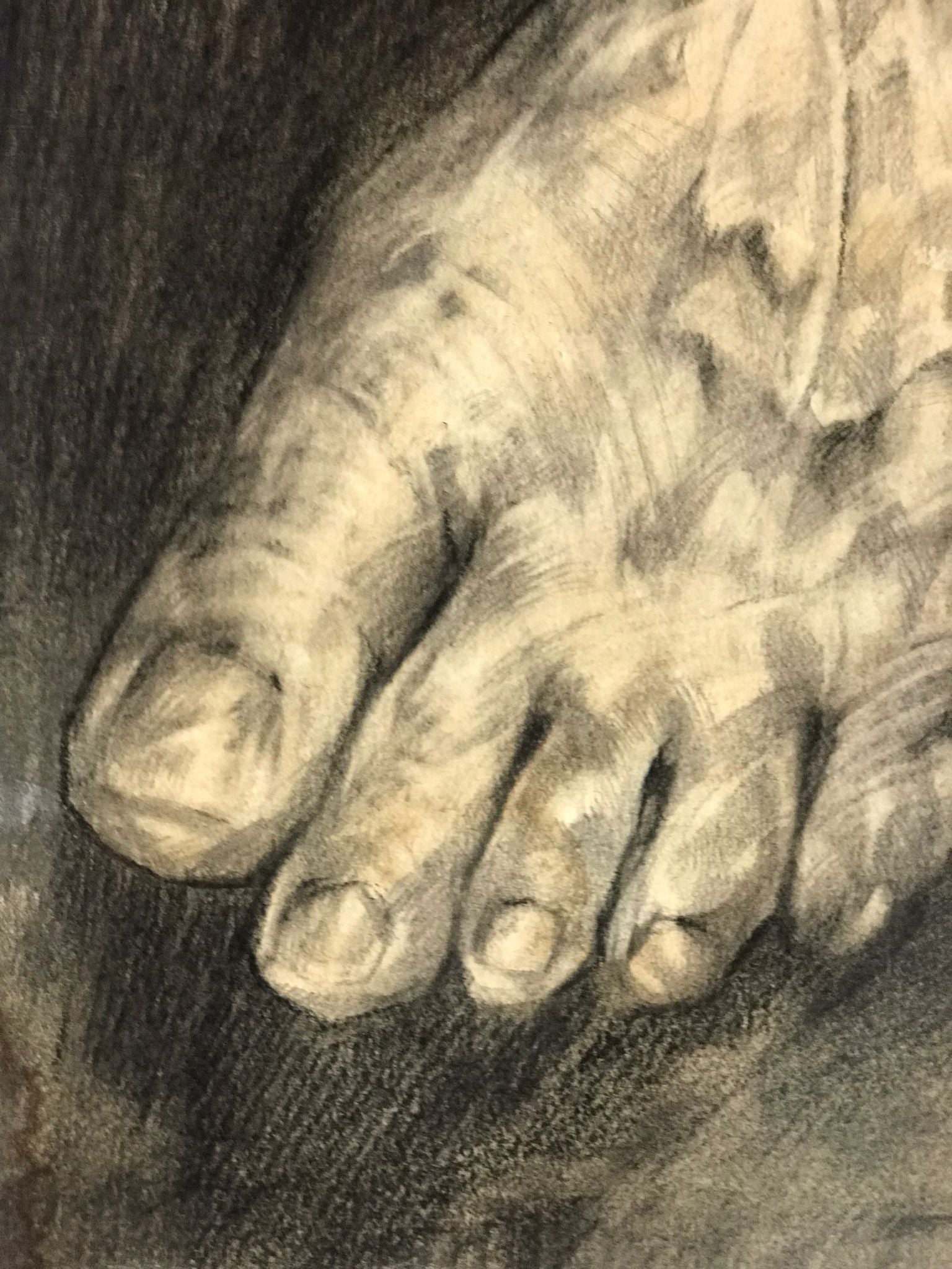 "Sans jamais toucher terre"