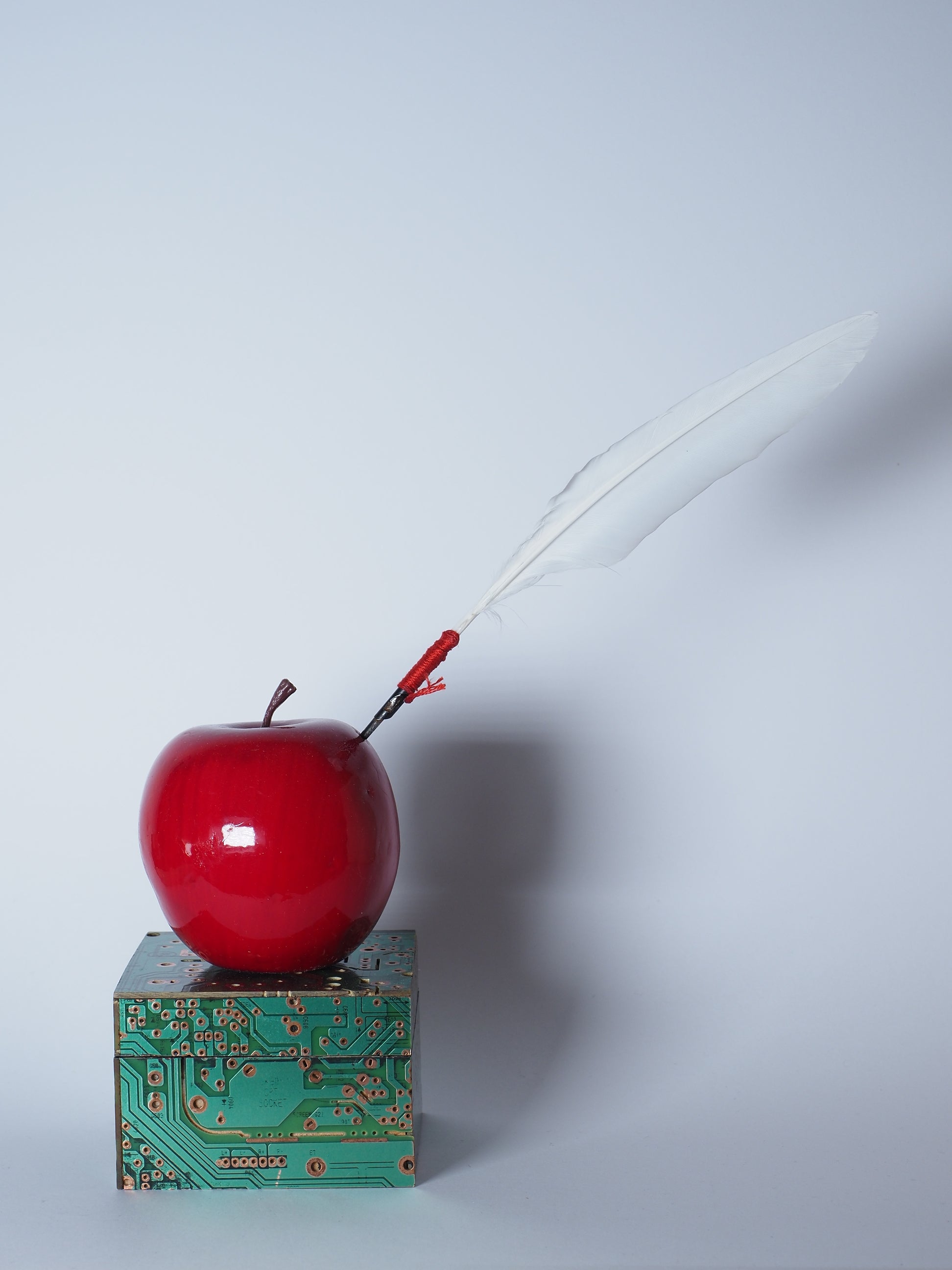 La plume et la pomme