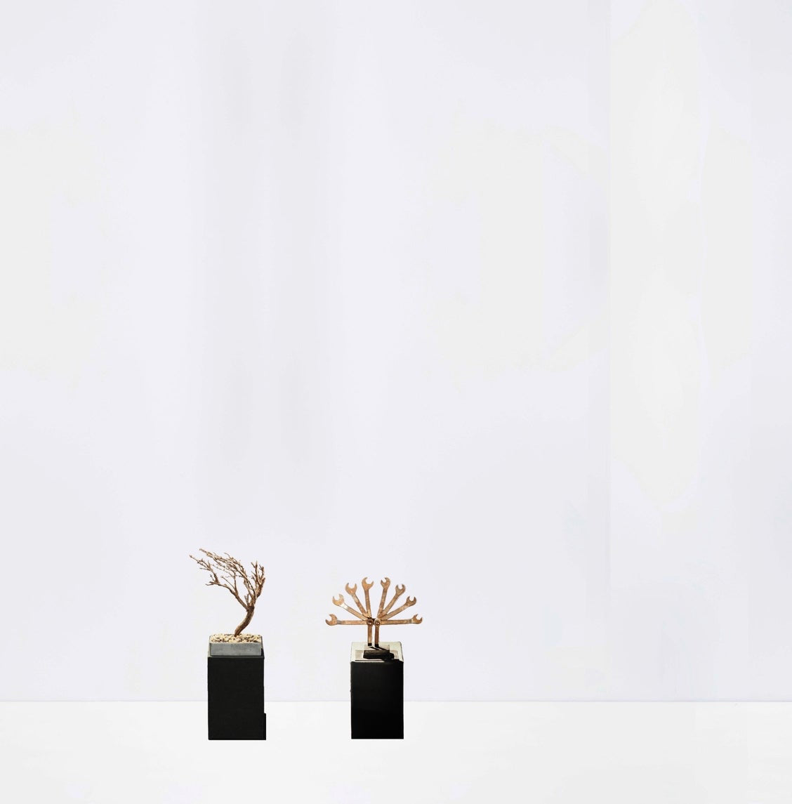 Le tout petit arbuste