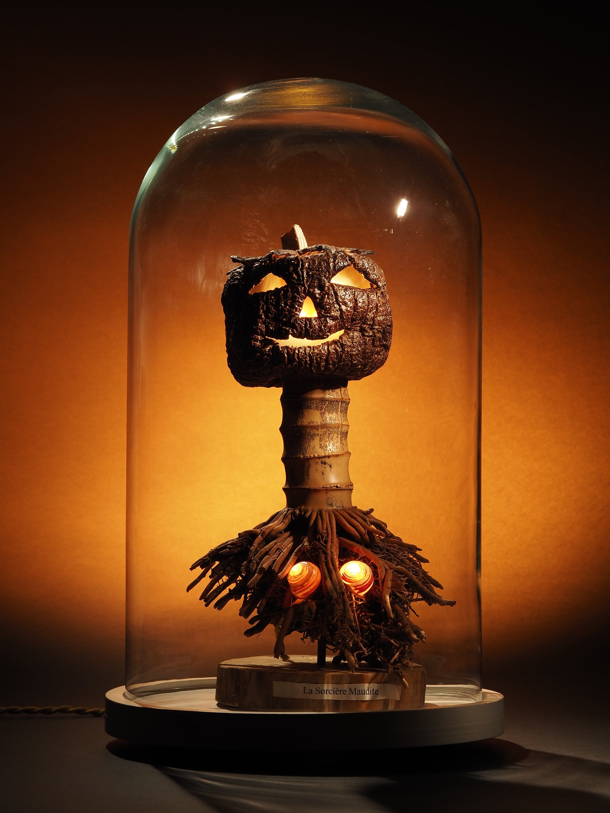 La sorcière maudite