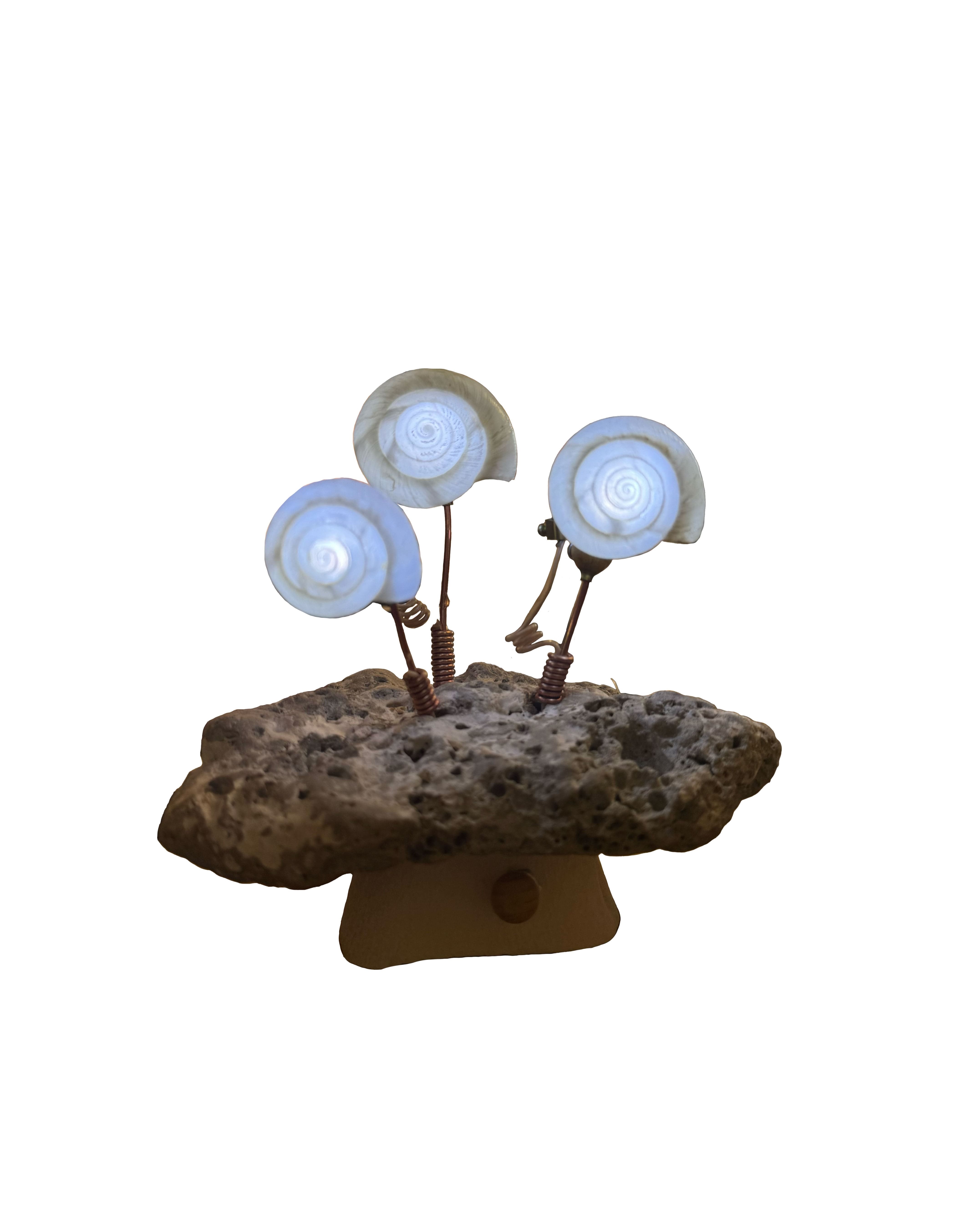 Trois escargots blancs