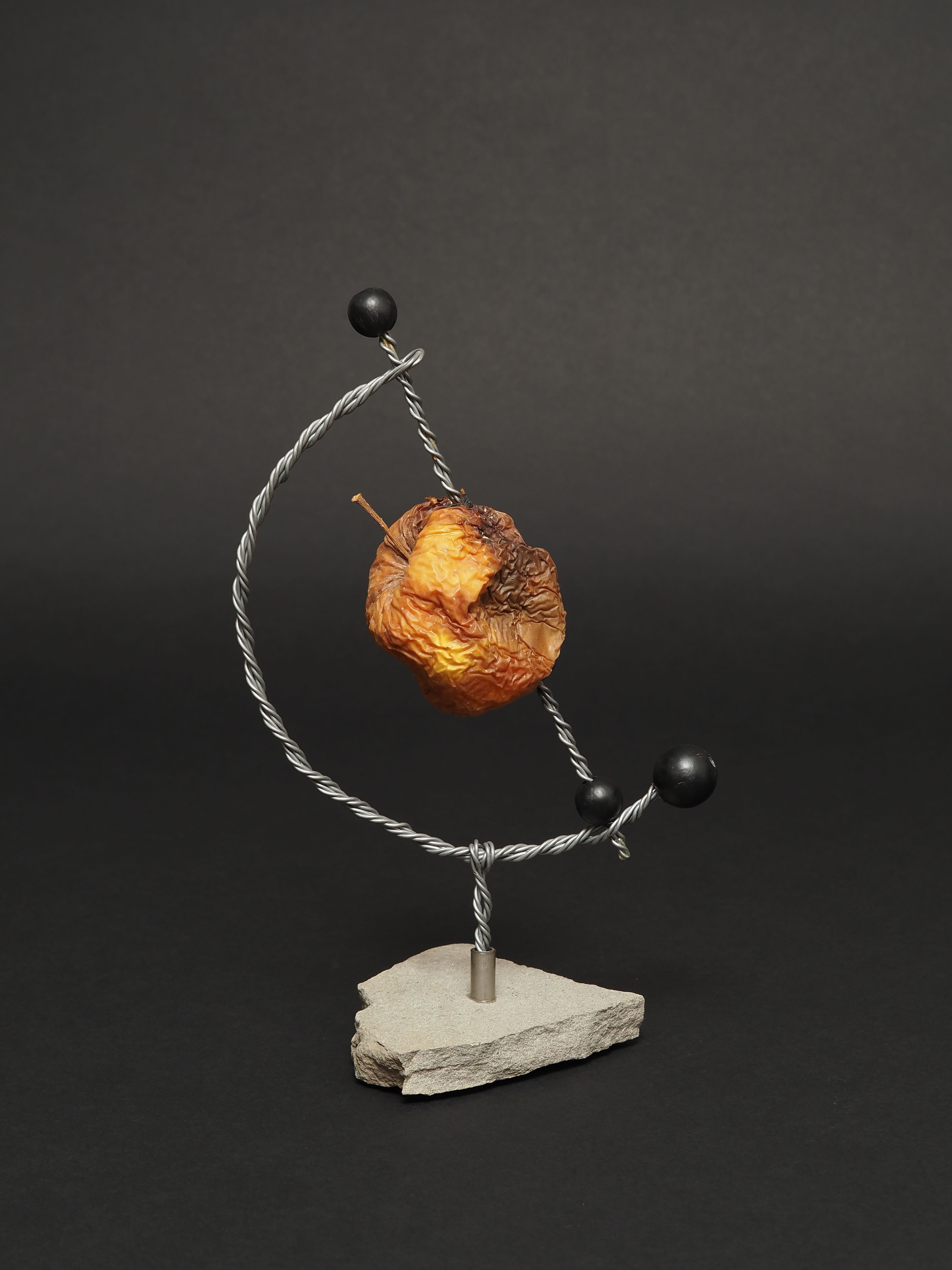 Vie et mort de la pomme