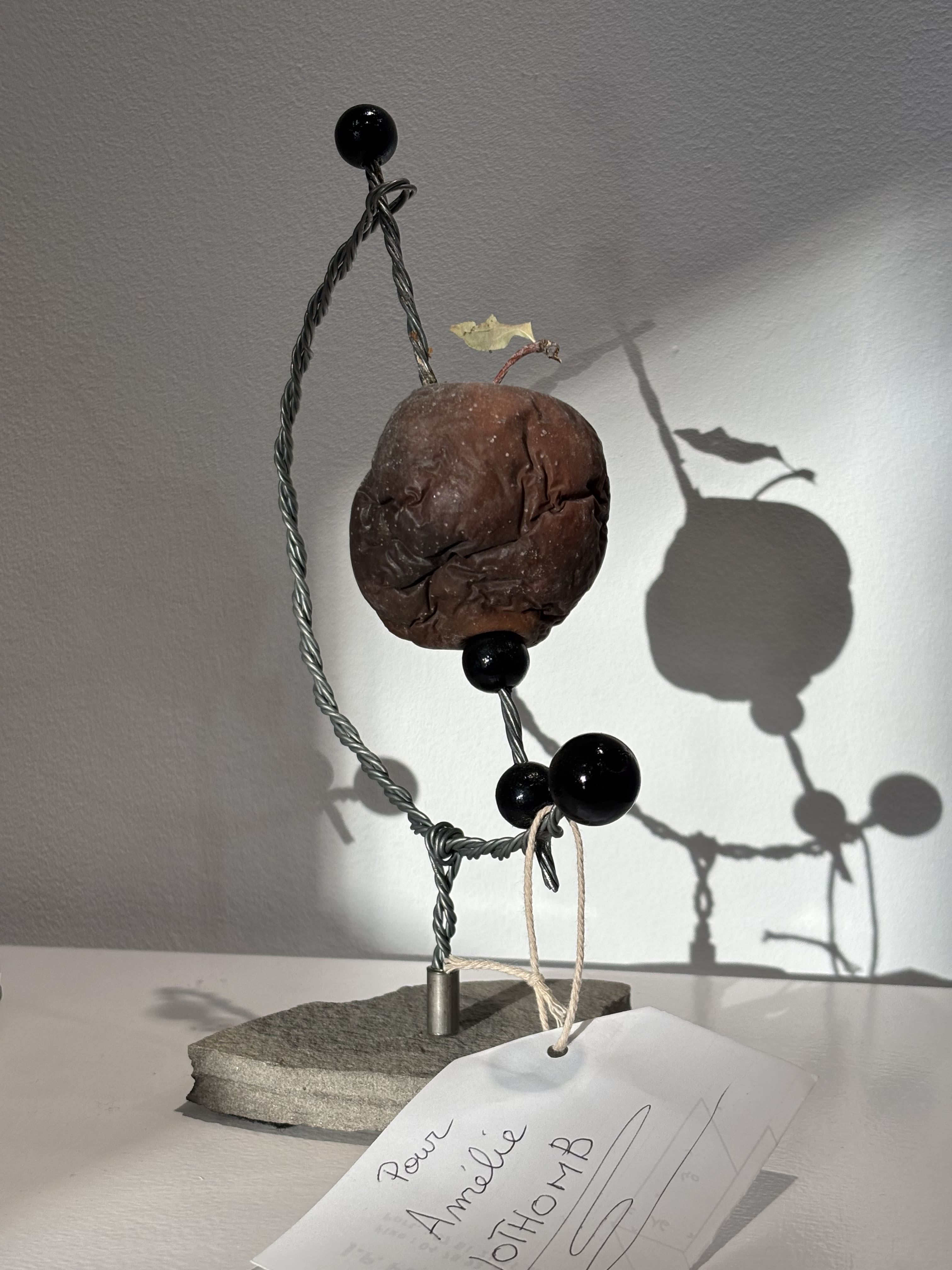 Vie et mort de la pomme