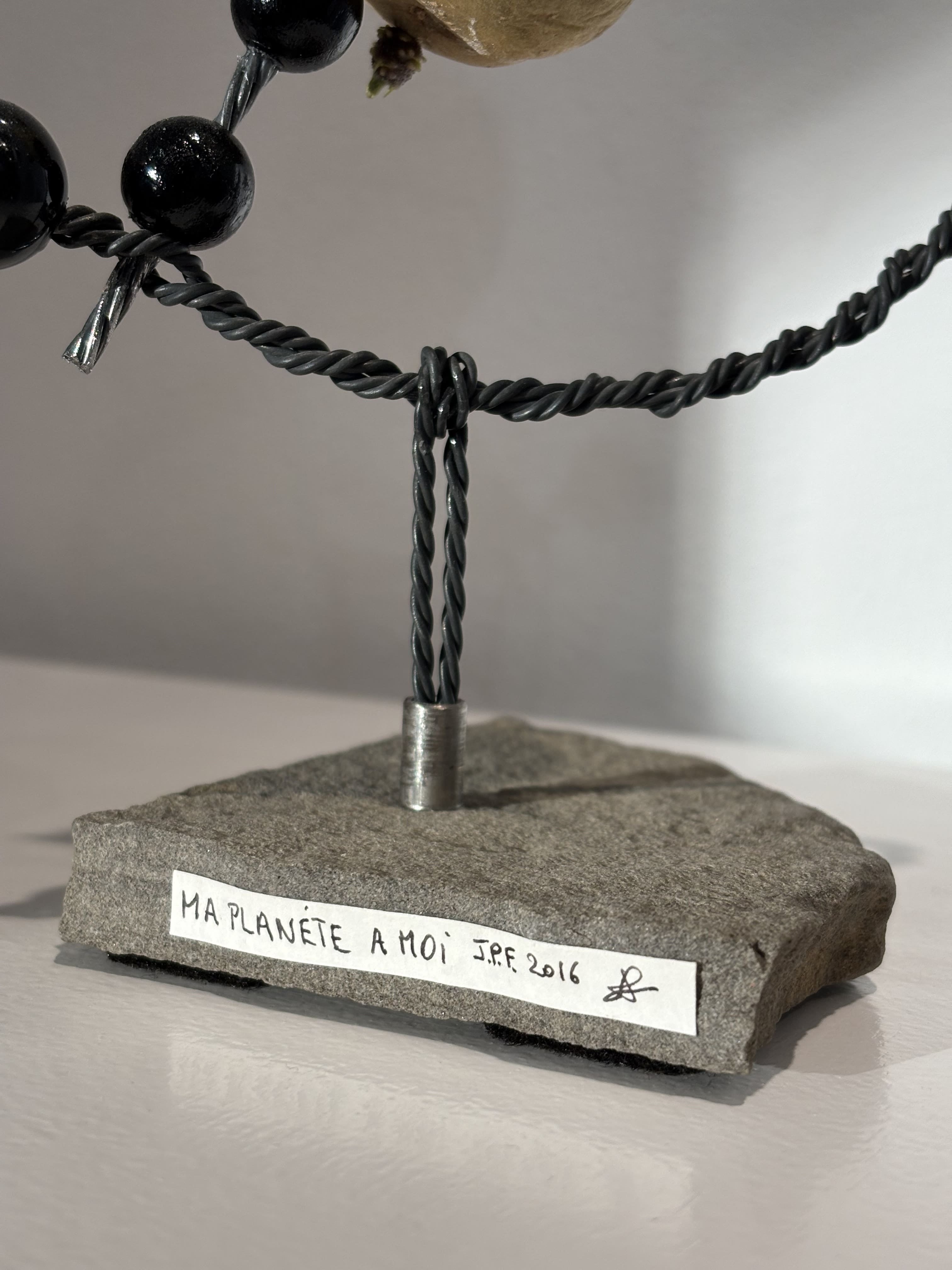 Vie et mort de la pomme de terre