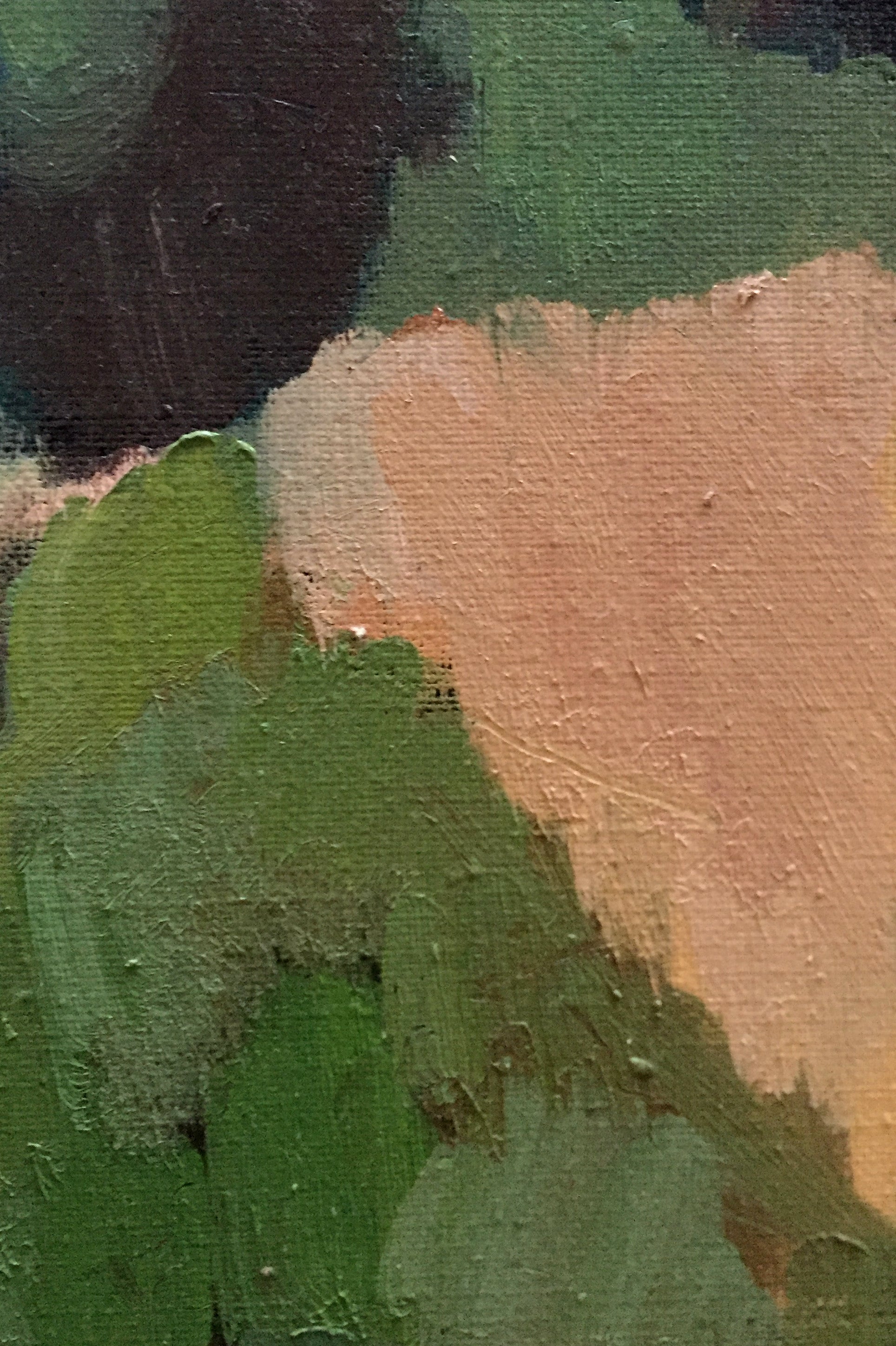 "Les nénuphars"