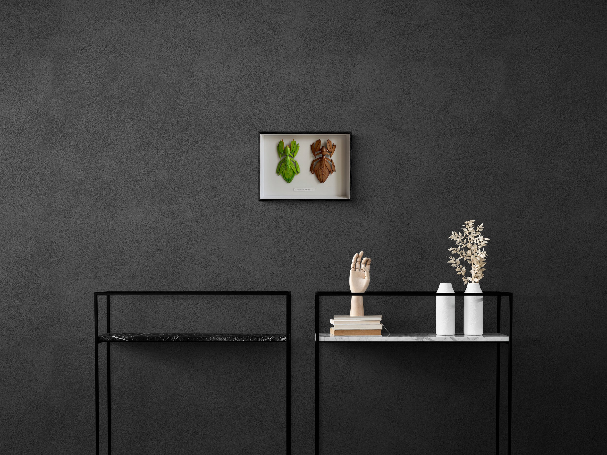 "Mecamorphosa Vegetalis"