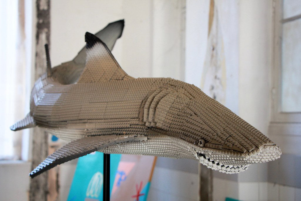 "Requin"