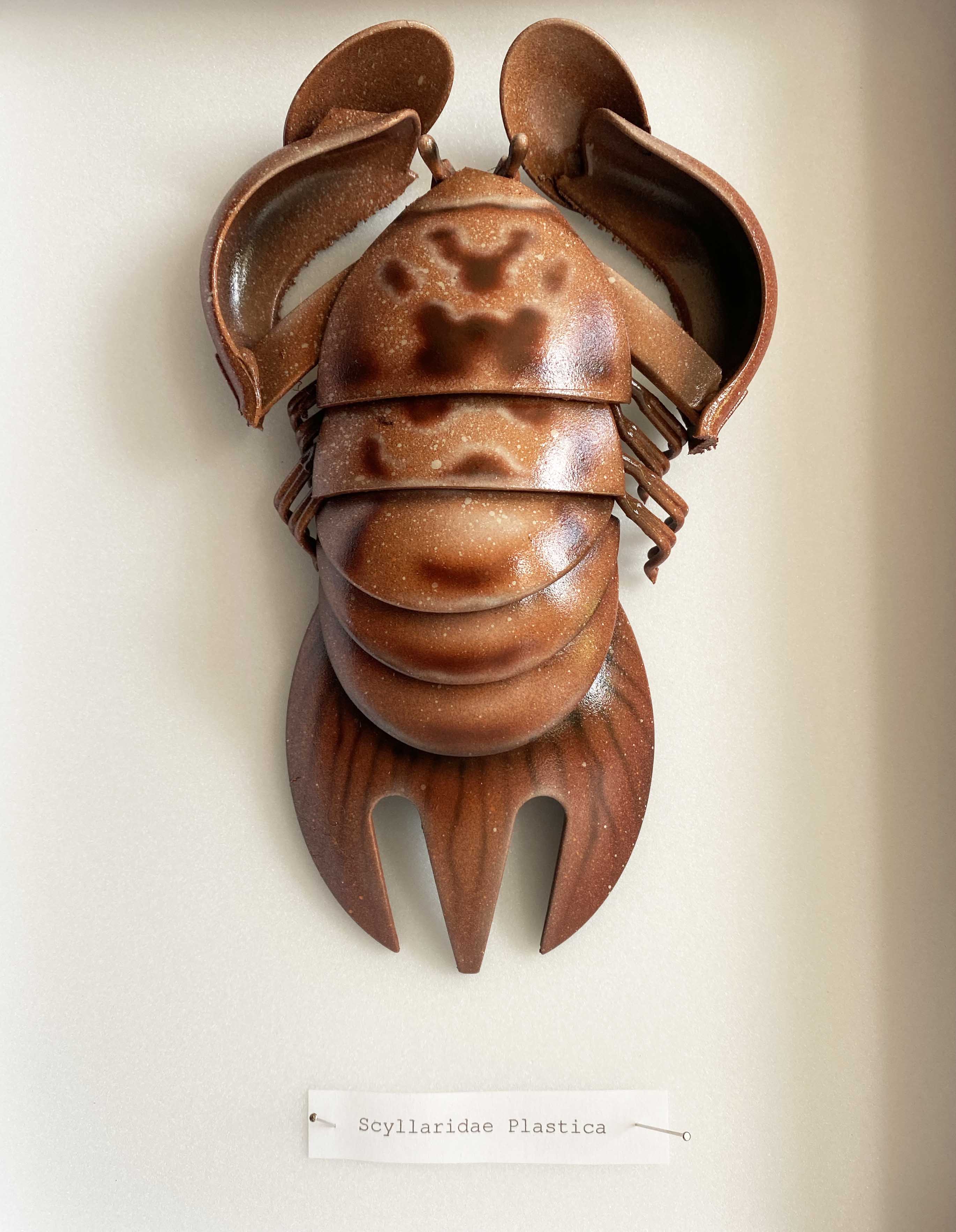 "Scyllaridae Plastica"