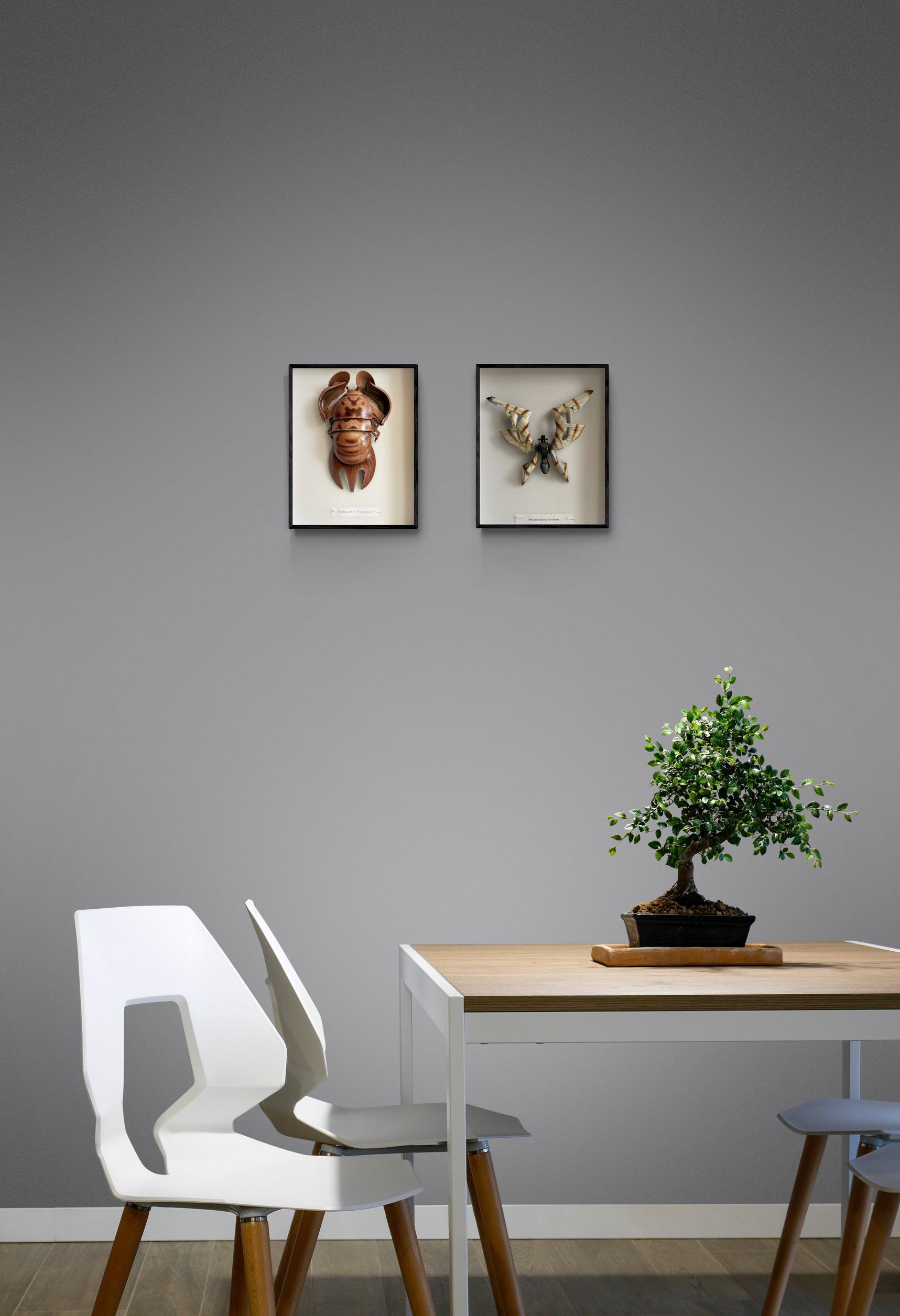 "Scyllaridae Plastica"