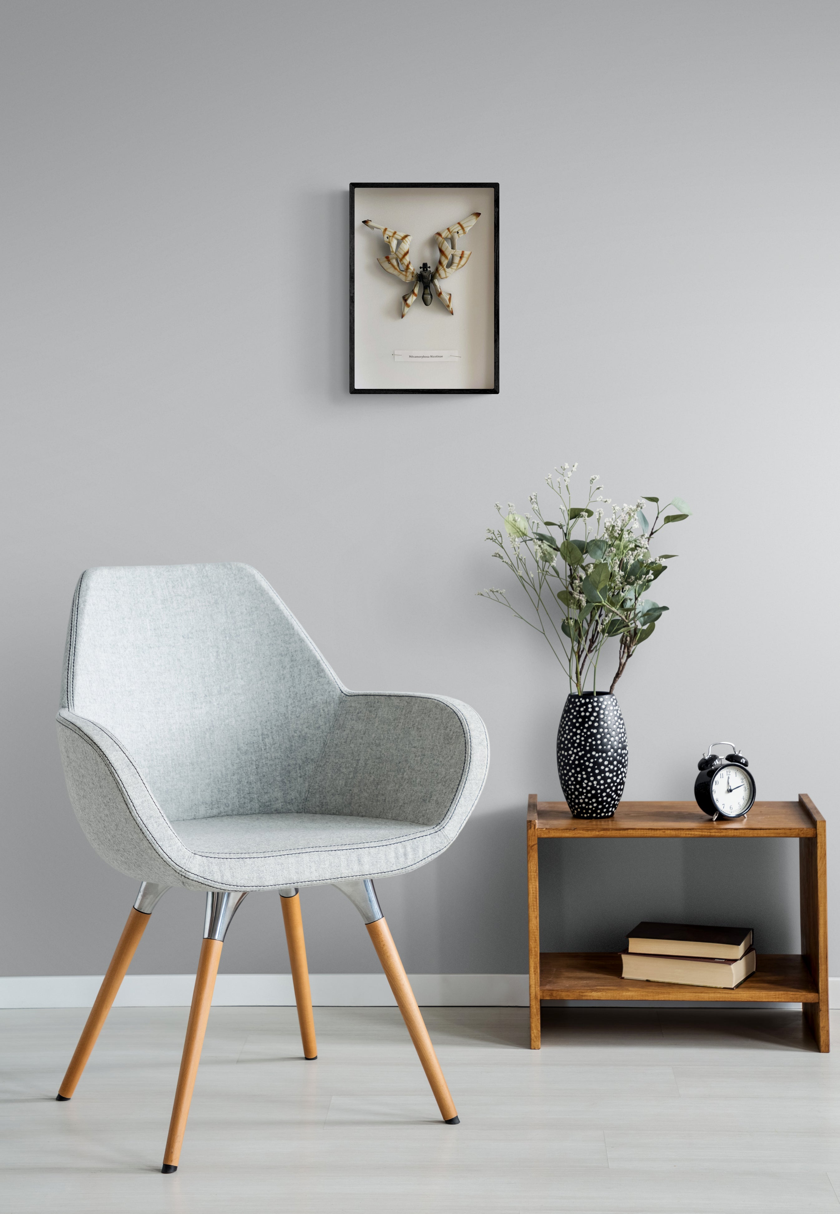 "Mecamorphosa Nicotinae"