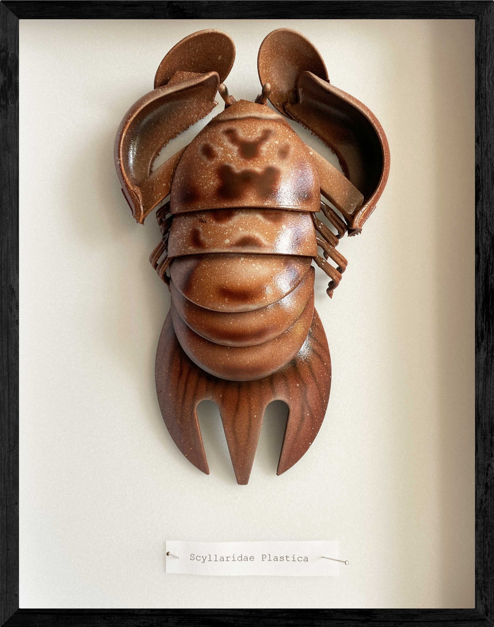 "Scyllaridae Plastica"