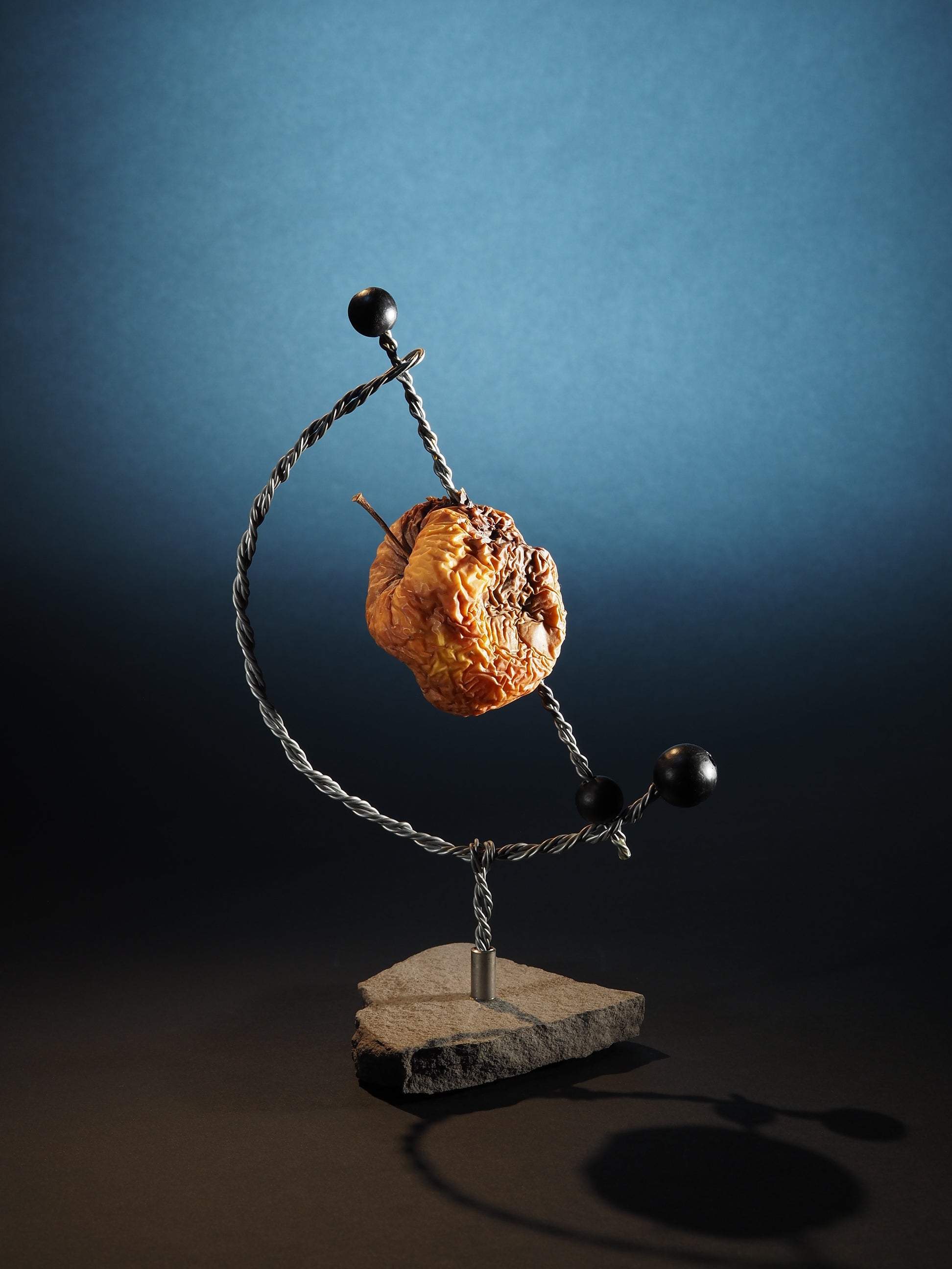 Vie et mort de la pomme