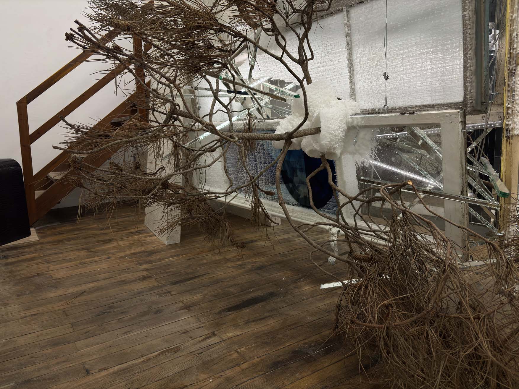 Fenêtre excroissance ll