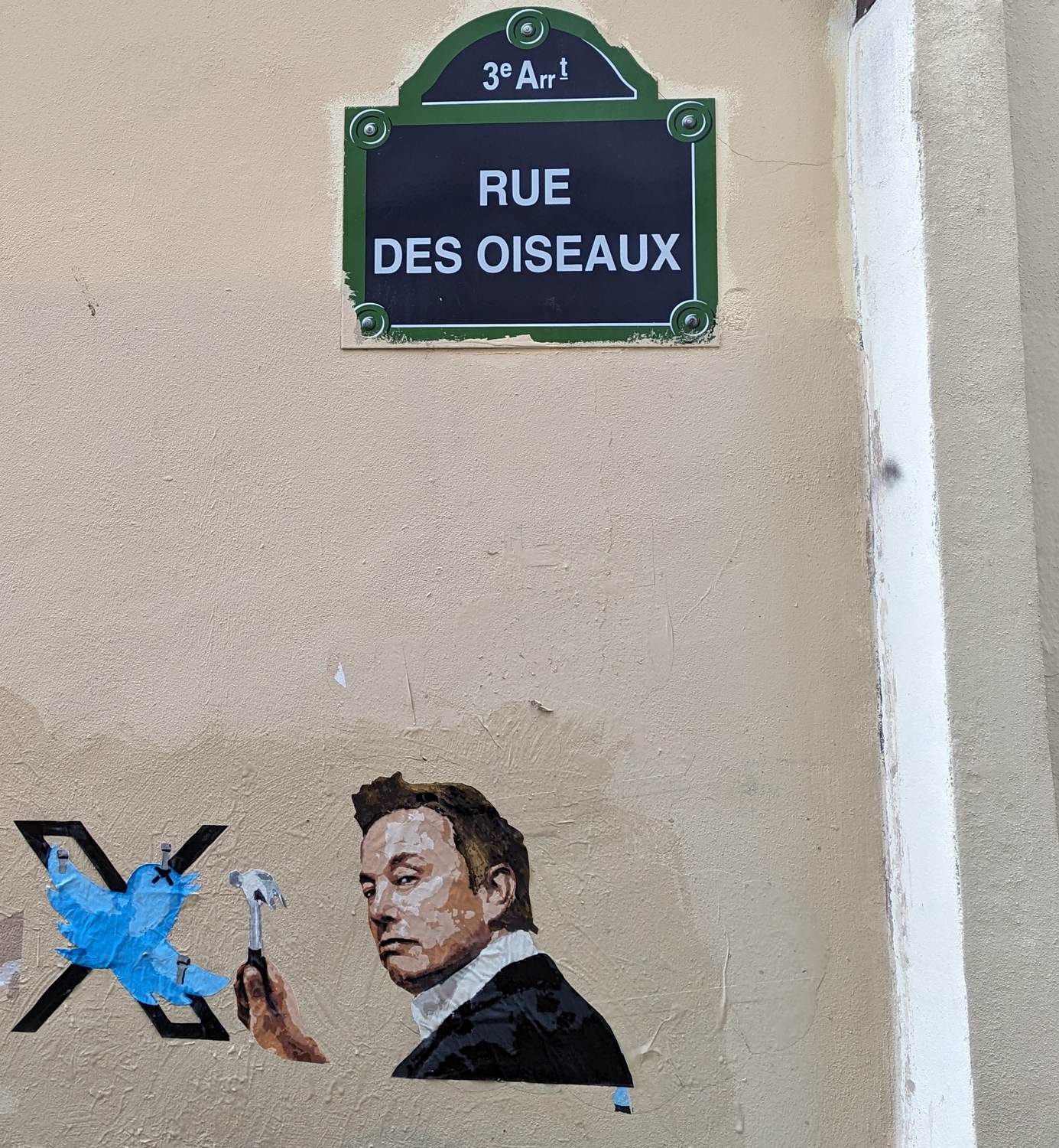 "X story of a little bird"