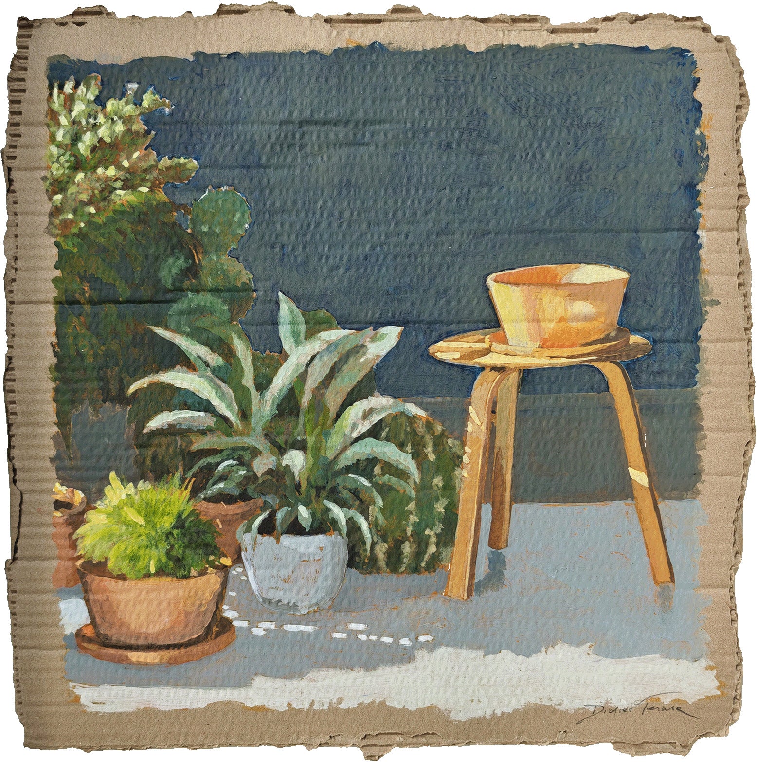 Les plantes