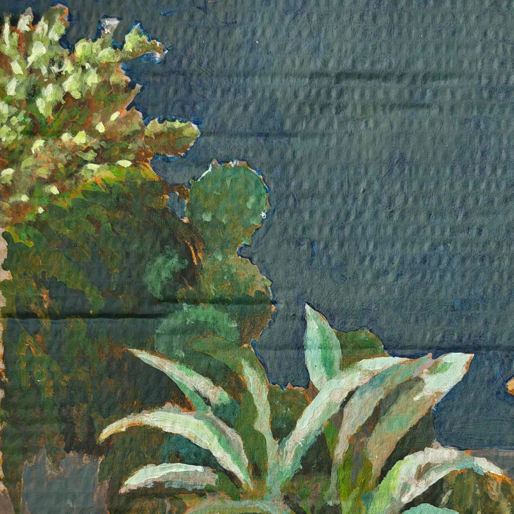 Les plantes