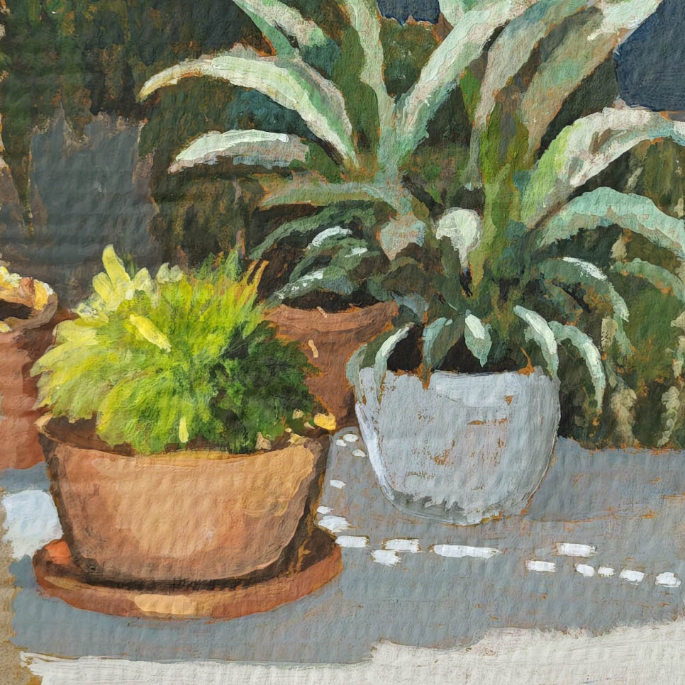 Les plantes