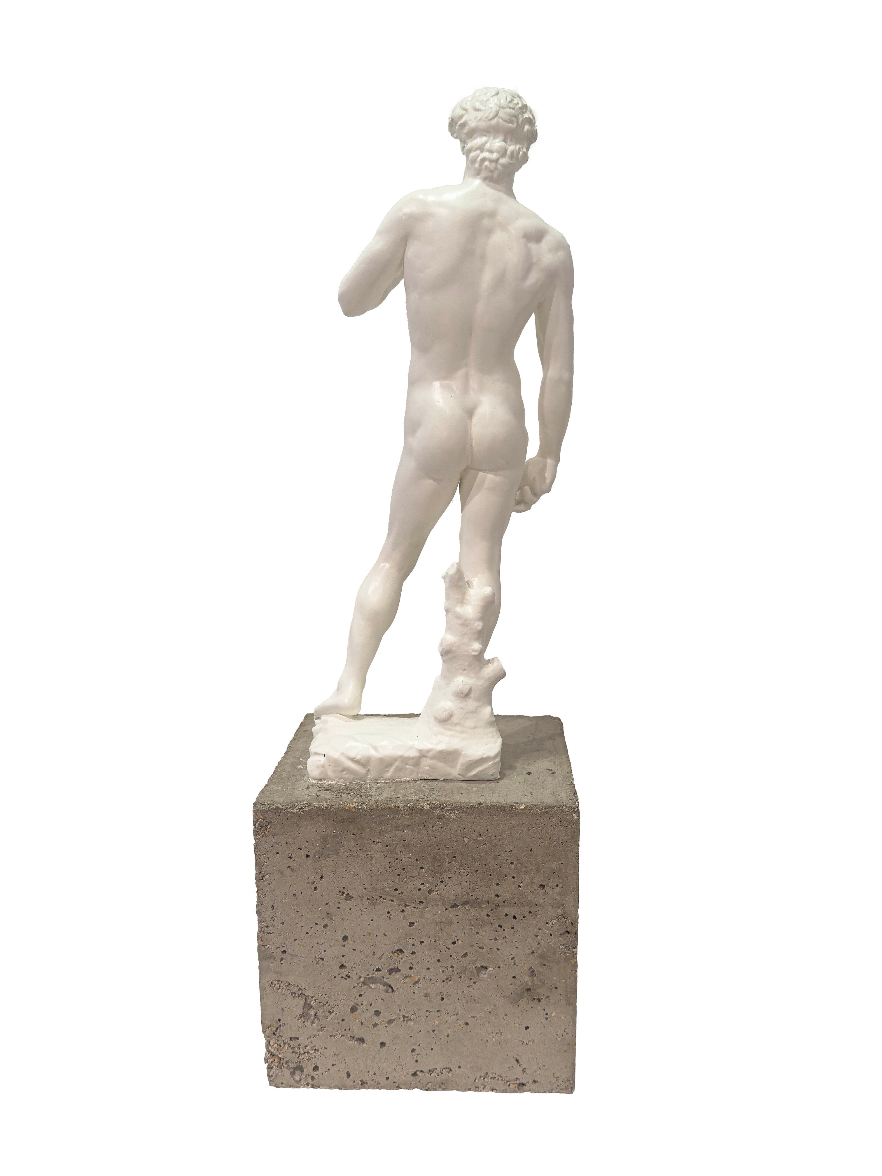 "David 2.0" n°1/8