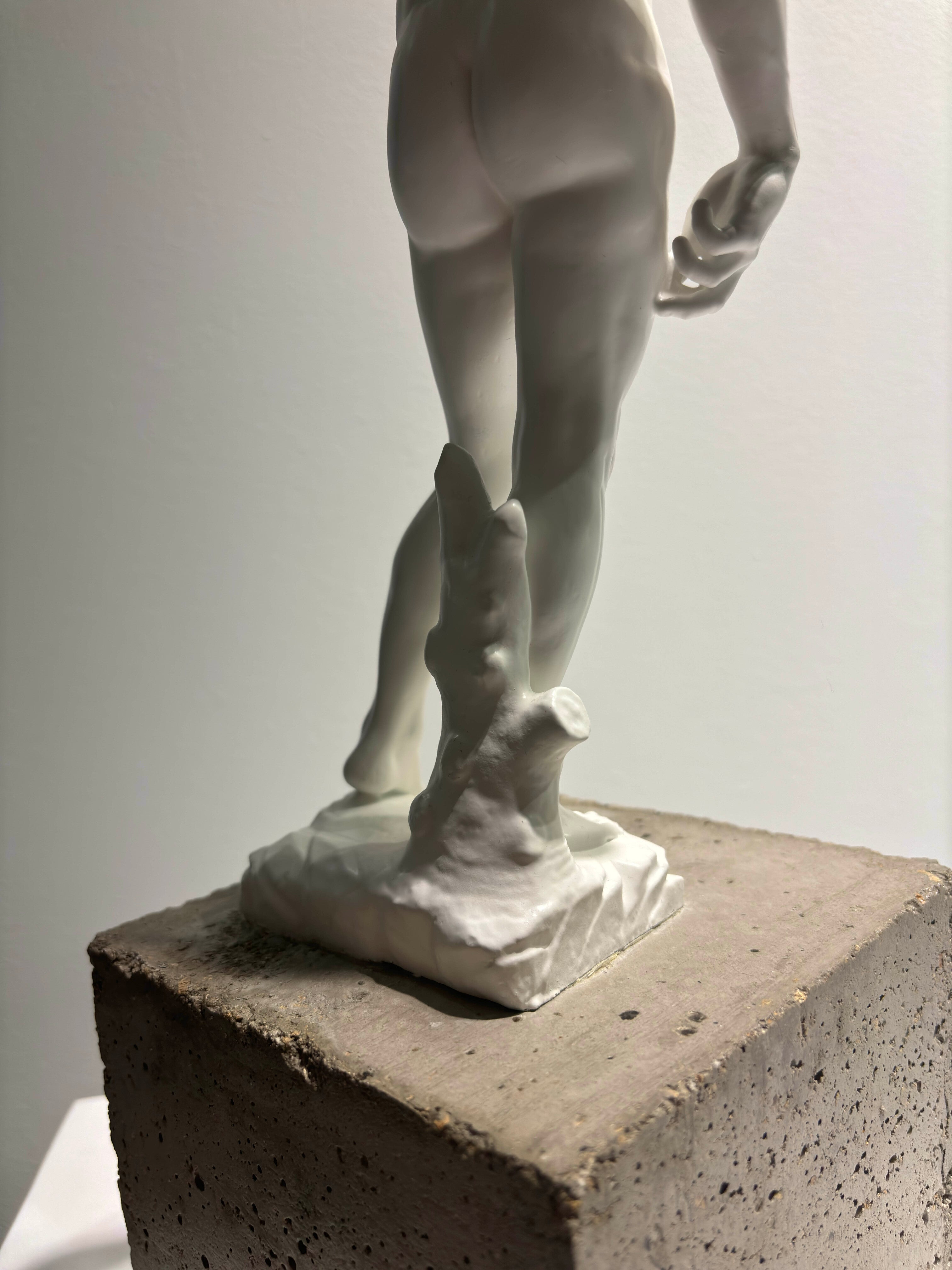 "David 2.0" n°1/8