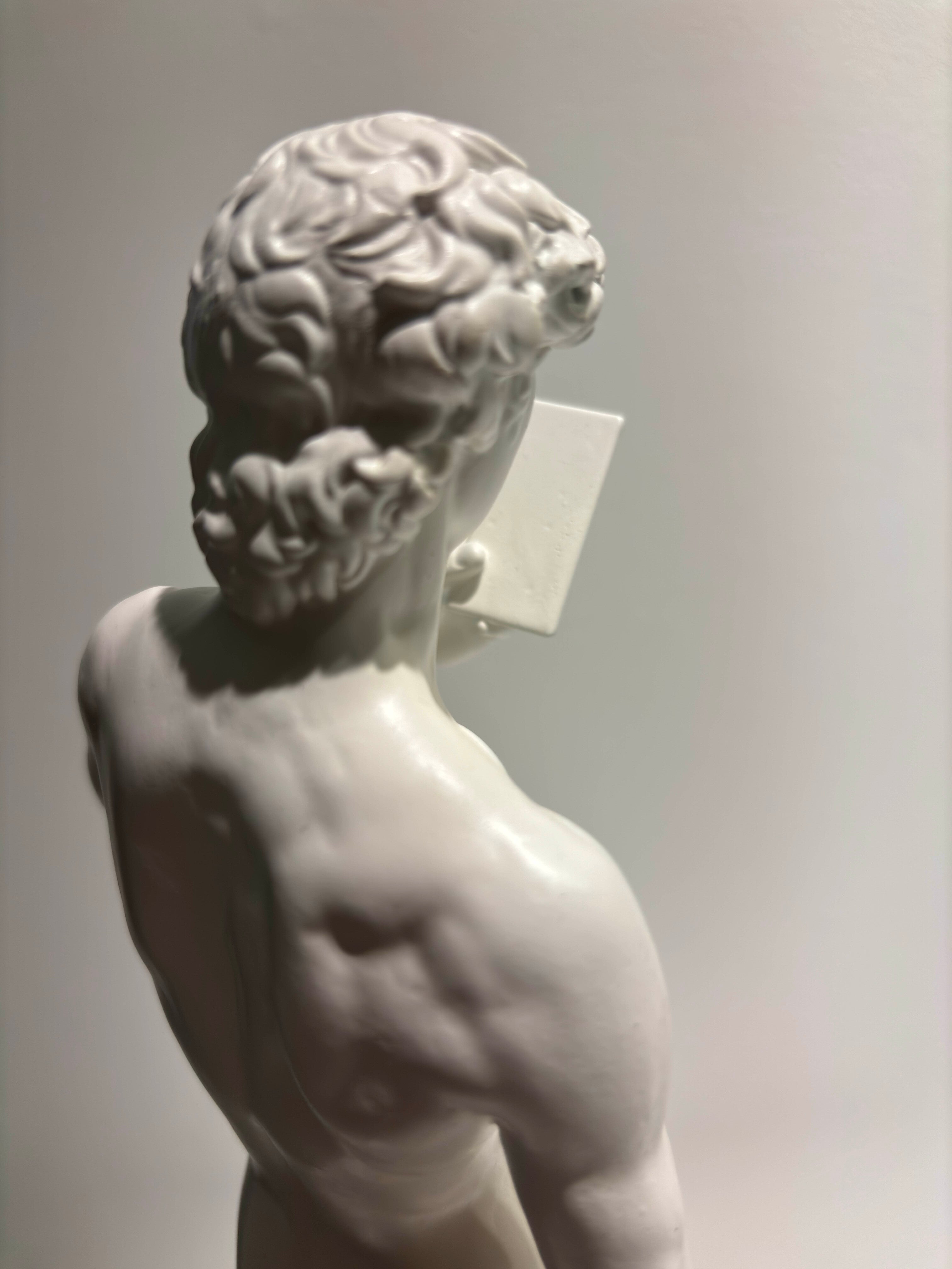 "David 2.0" n°1/8