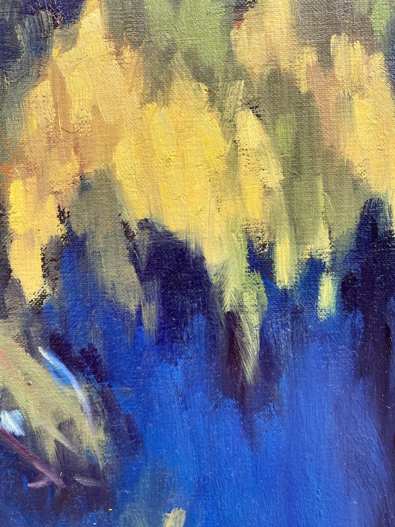 "Mimosa au drap bleu"