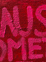 "LA VIE EN ROSE"