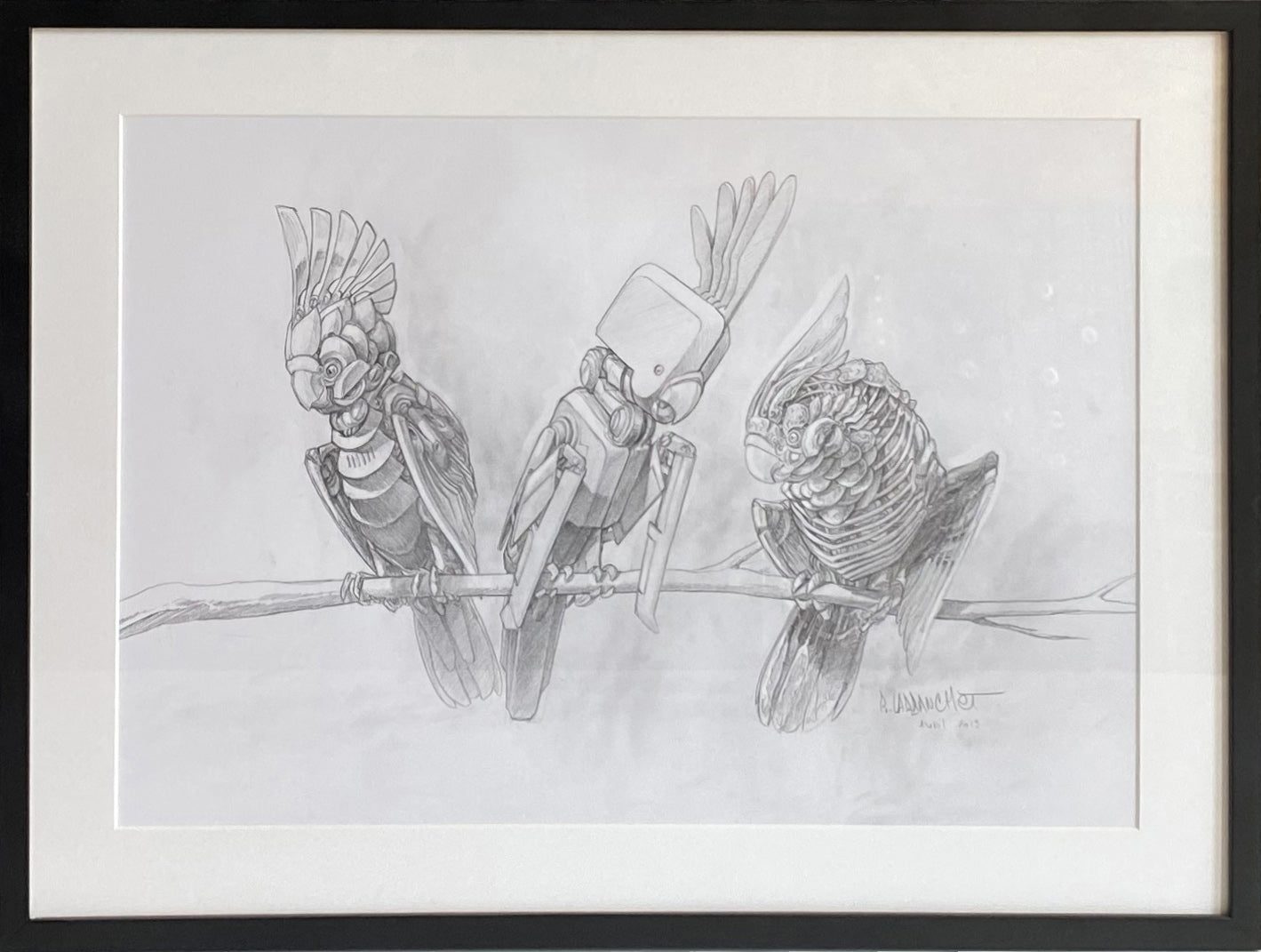 "3 cacatoès"