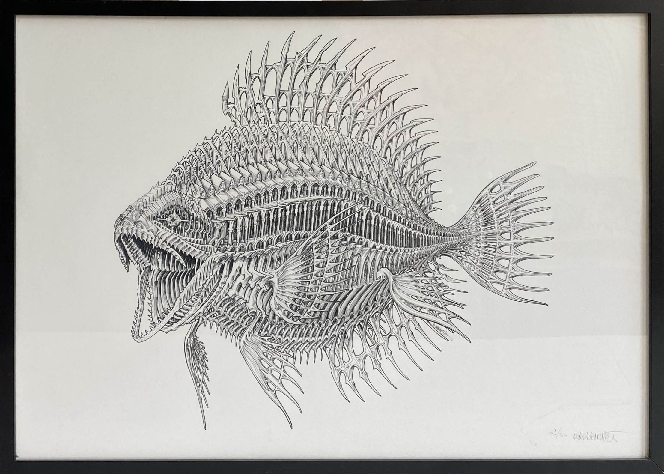 "Poisson Cathédrale"