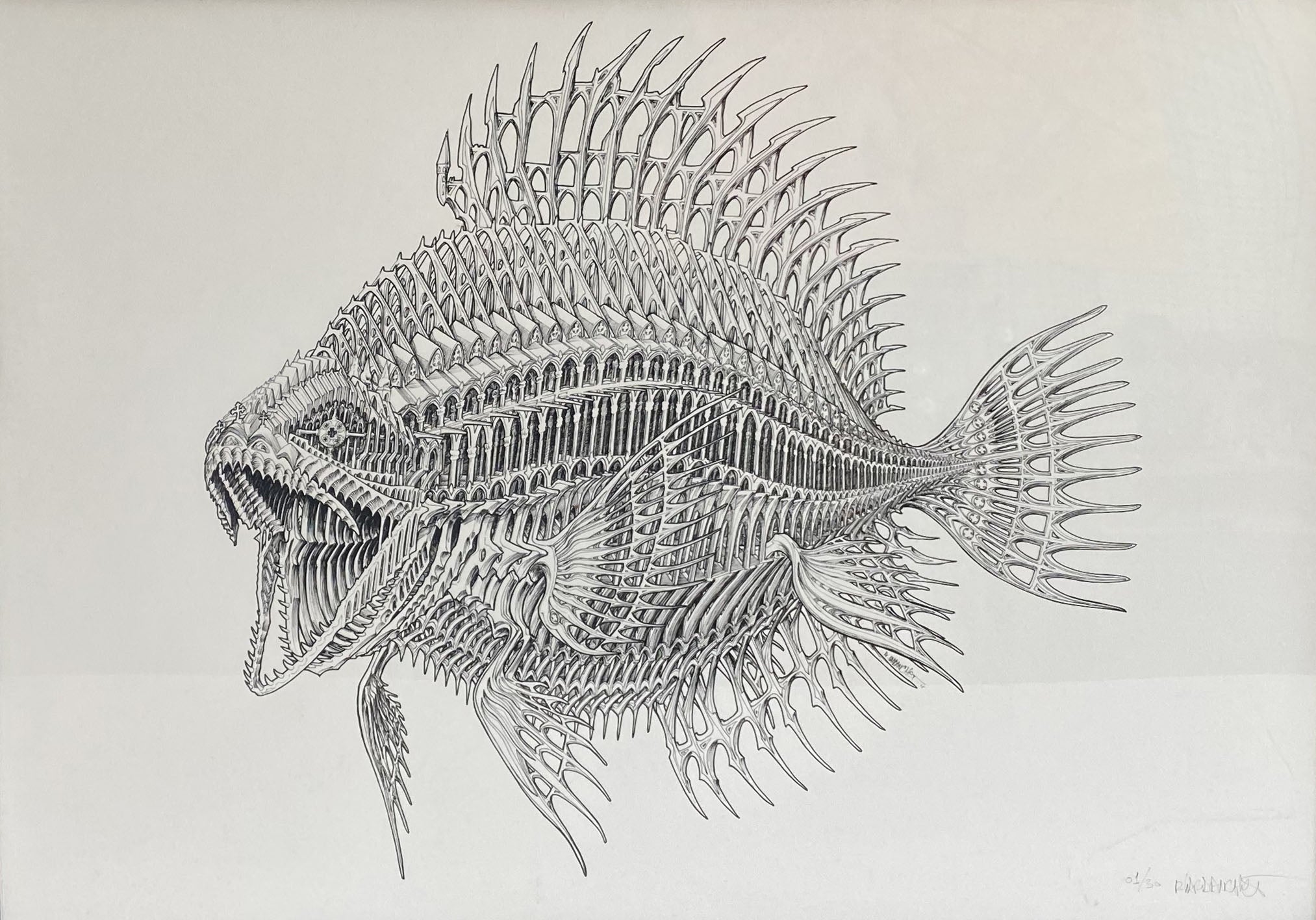"Poisson Cathédrale"