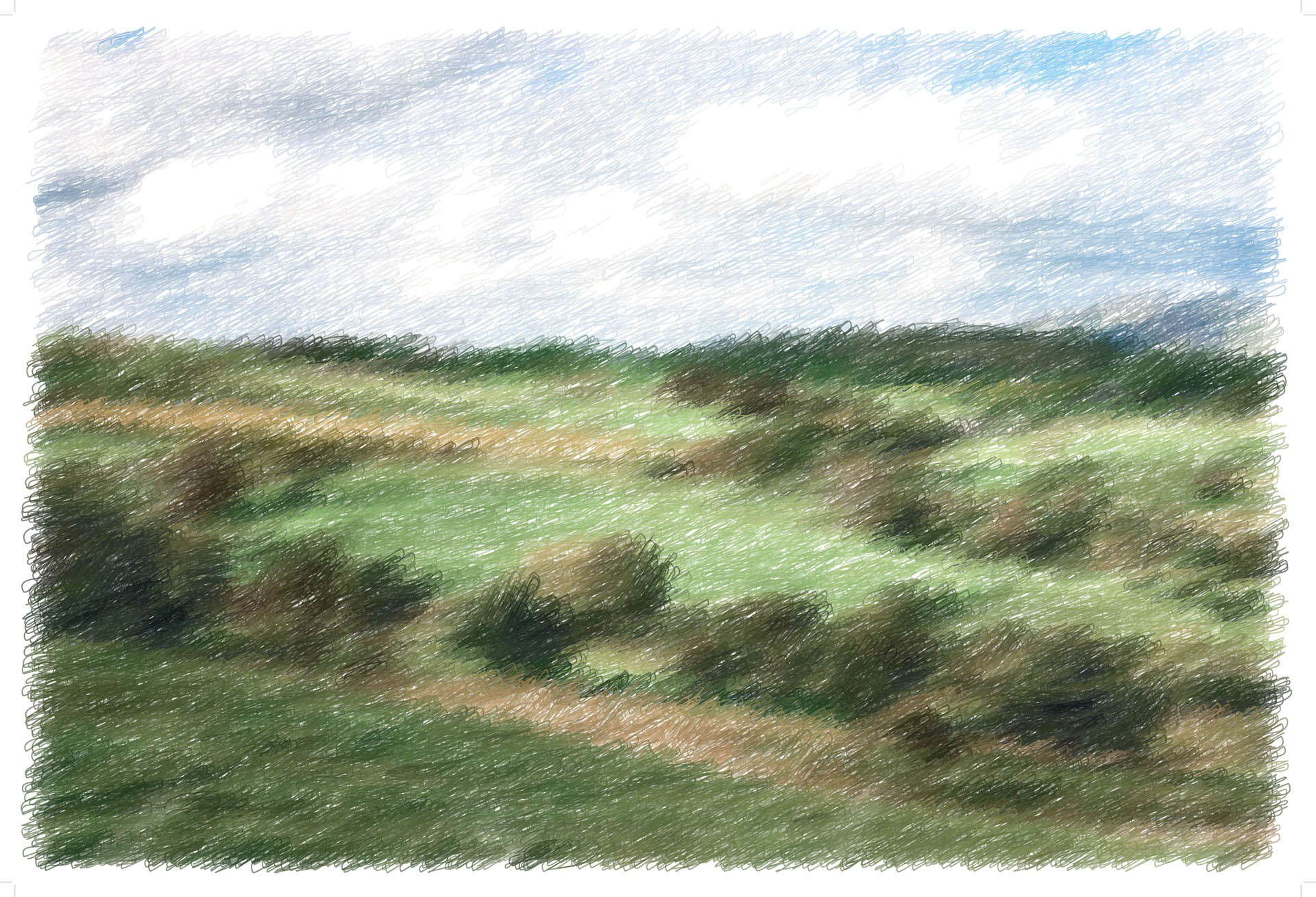 "Yorkshire"